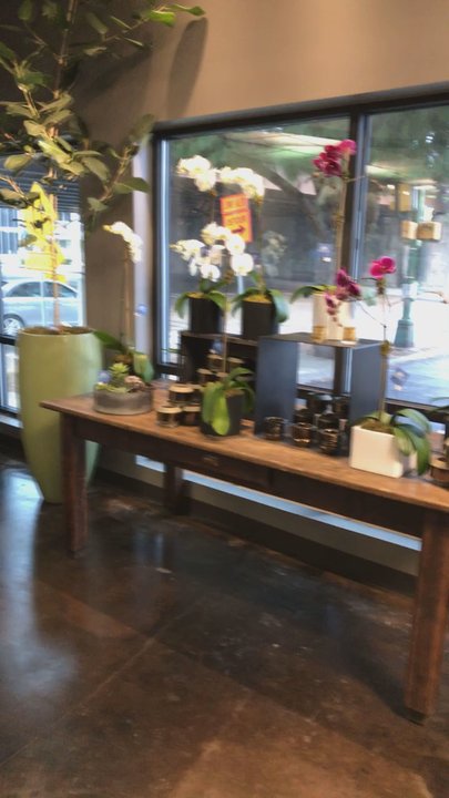 Dr Delphinium Designs & Events - It's huge and plenty of cool things to look at besides flowers - Florists Near Me - Richardson, Texas