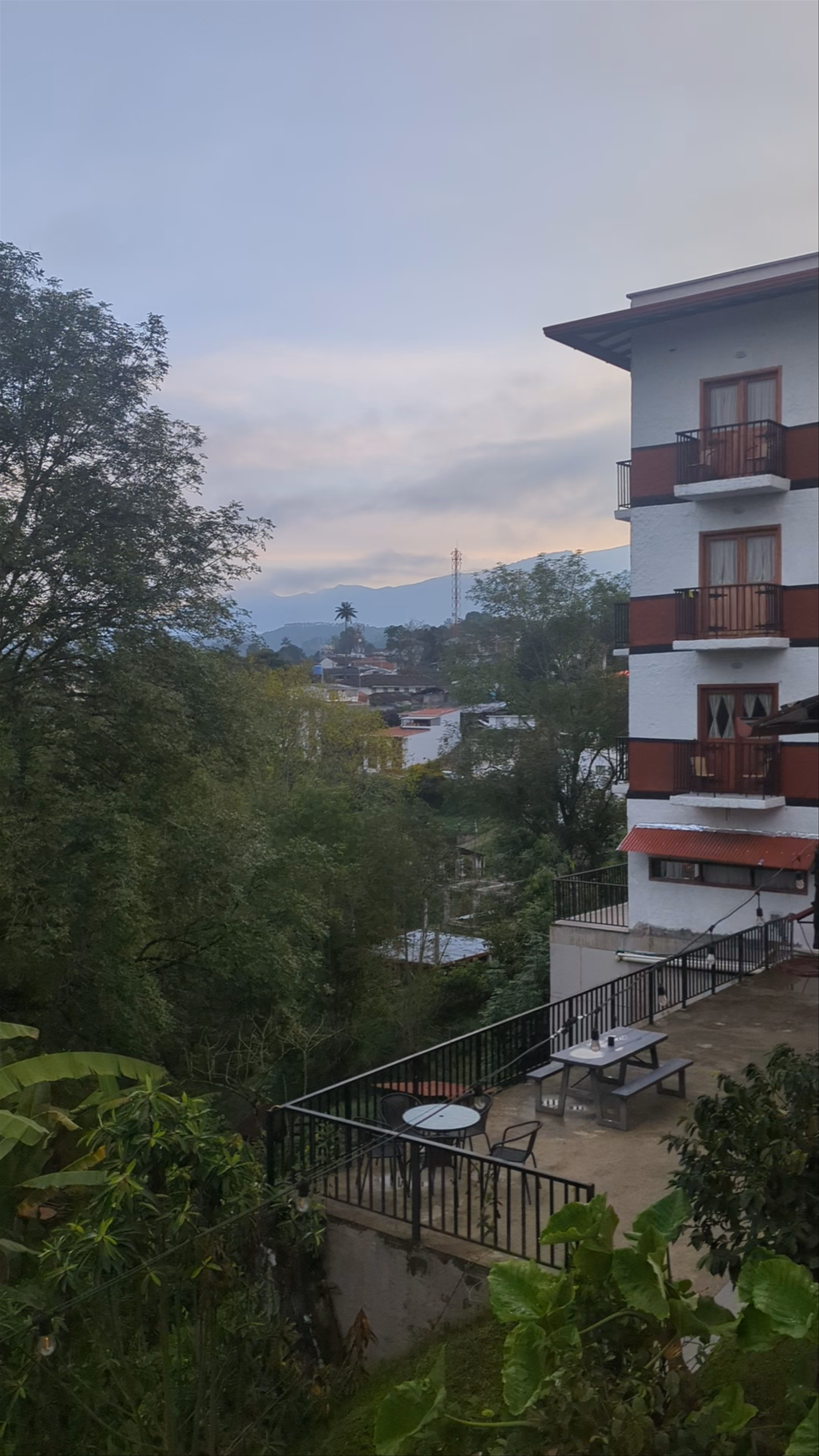 Coffee Tree Boutique Hostel