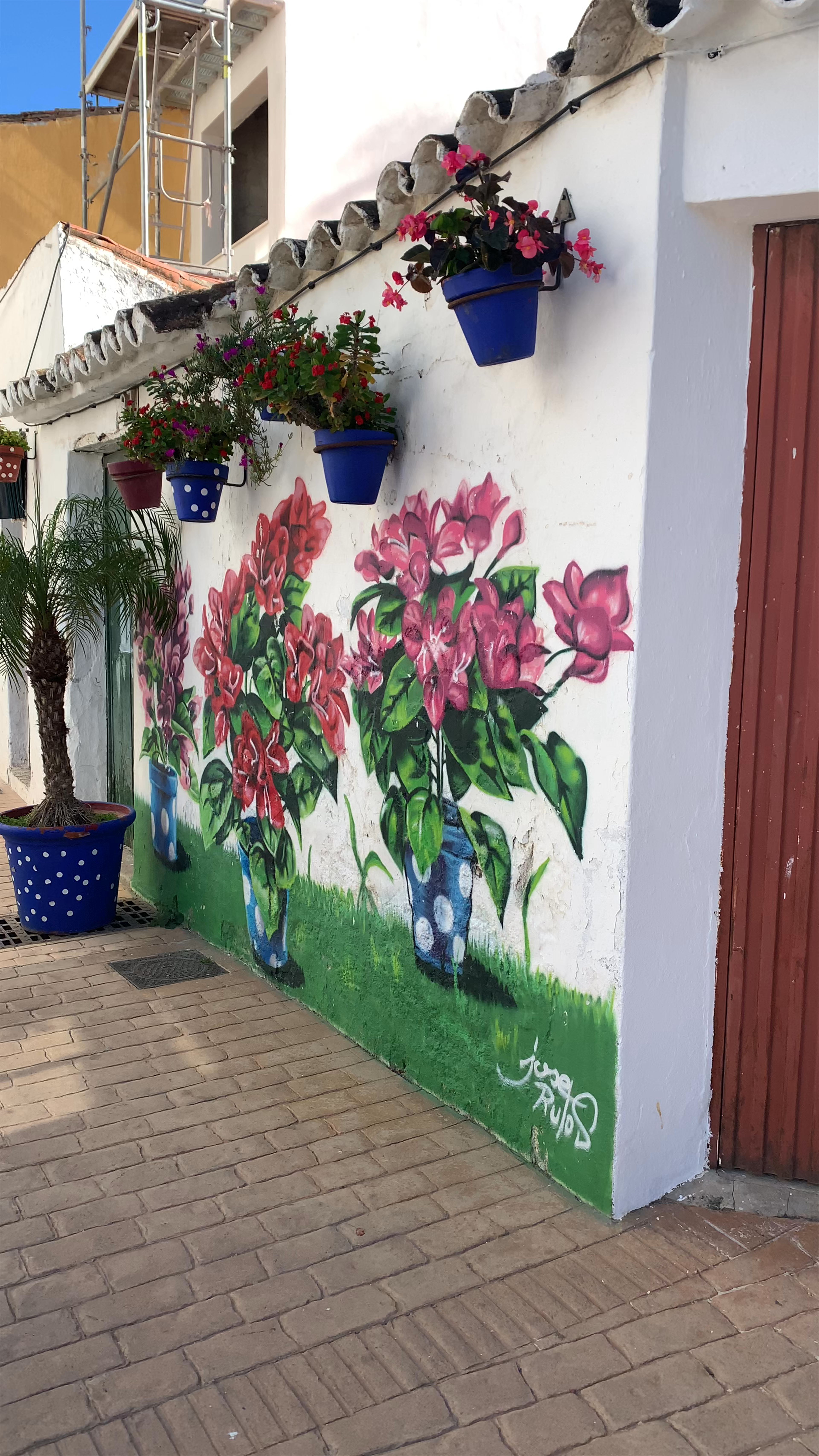 El Patio del Macarena: Floral Street Charm in Estepona, Spain