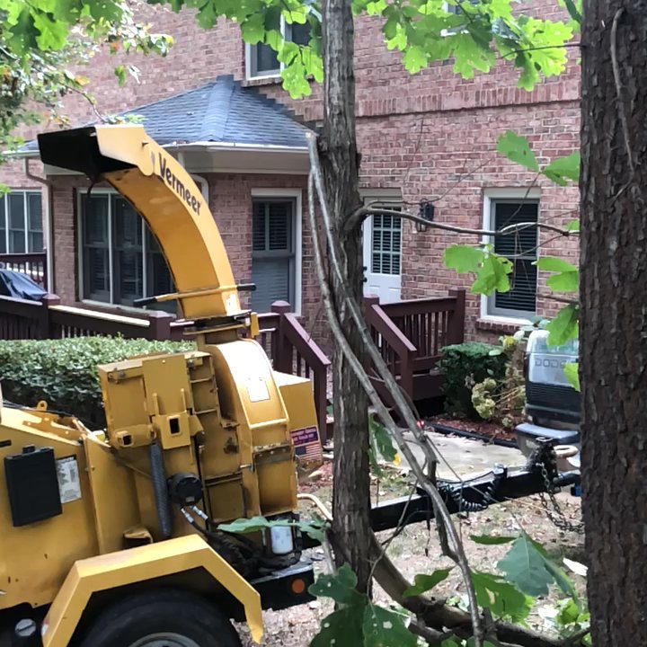 Lagoscape - Cleaning up the back yard - Landscaping Near Me - Lancaster, South Carolina