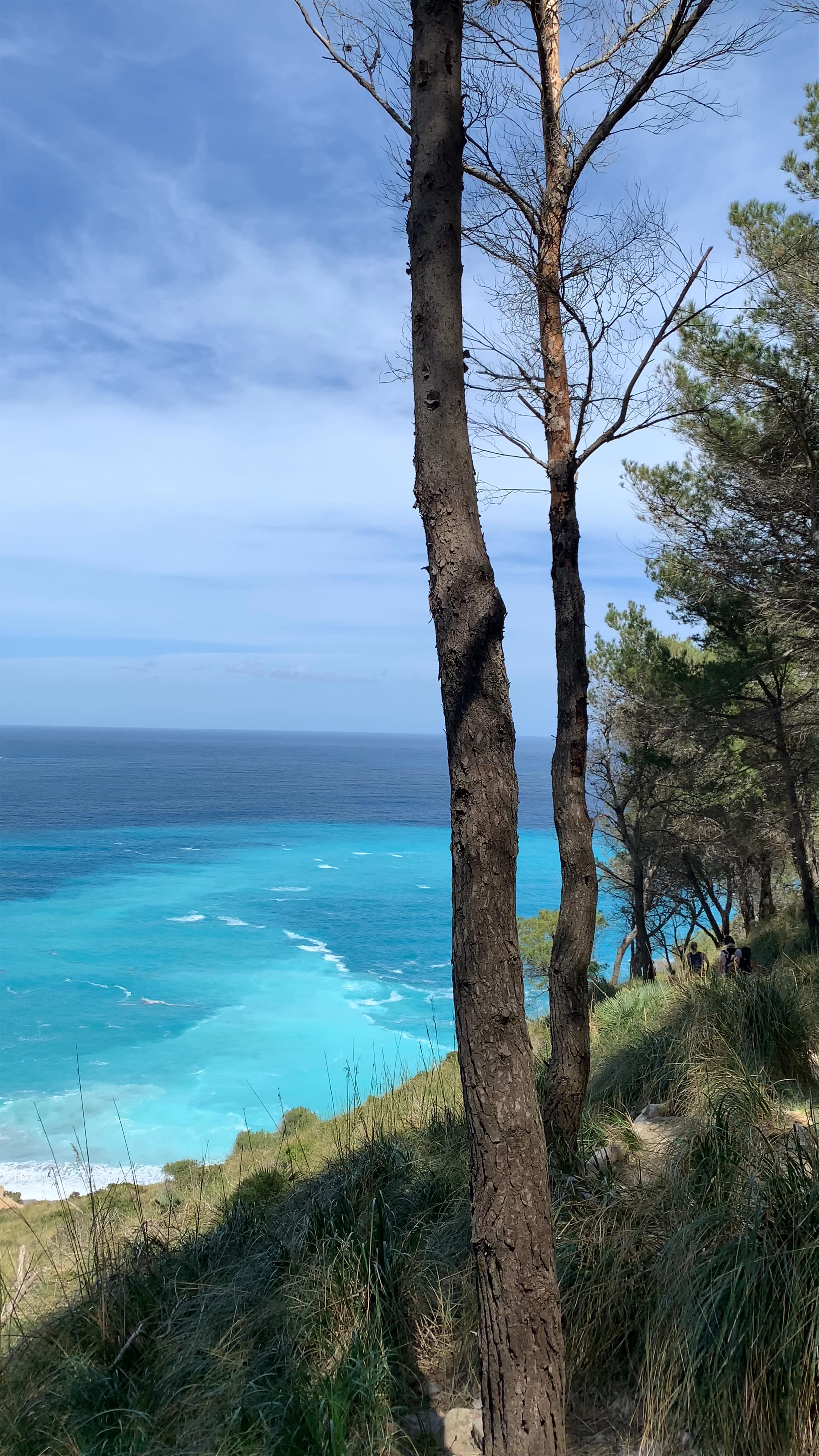 Platja des Coll Baix