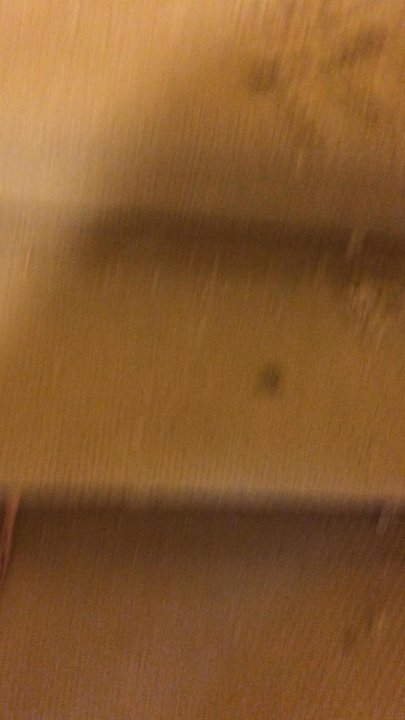 Granada Floors - No seems in sight - Flooring Near Me - Pinole, California