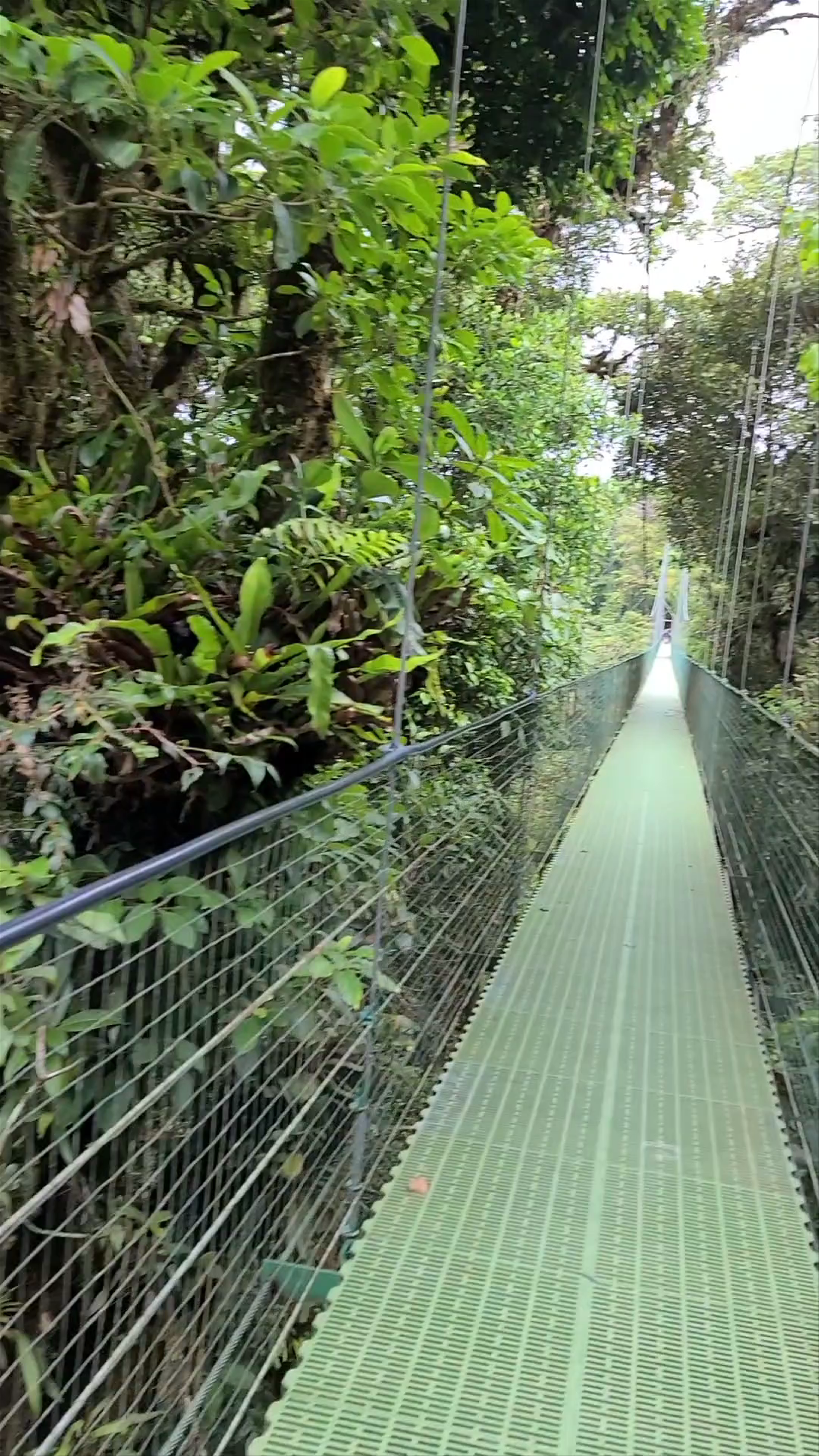 Sky Adventures Monteverde Park