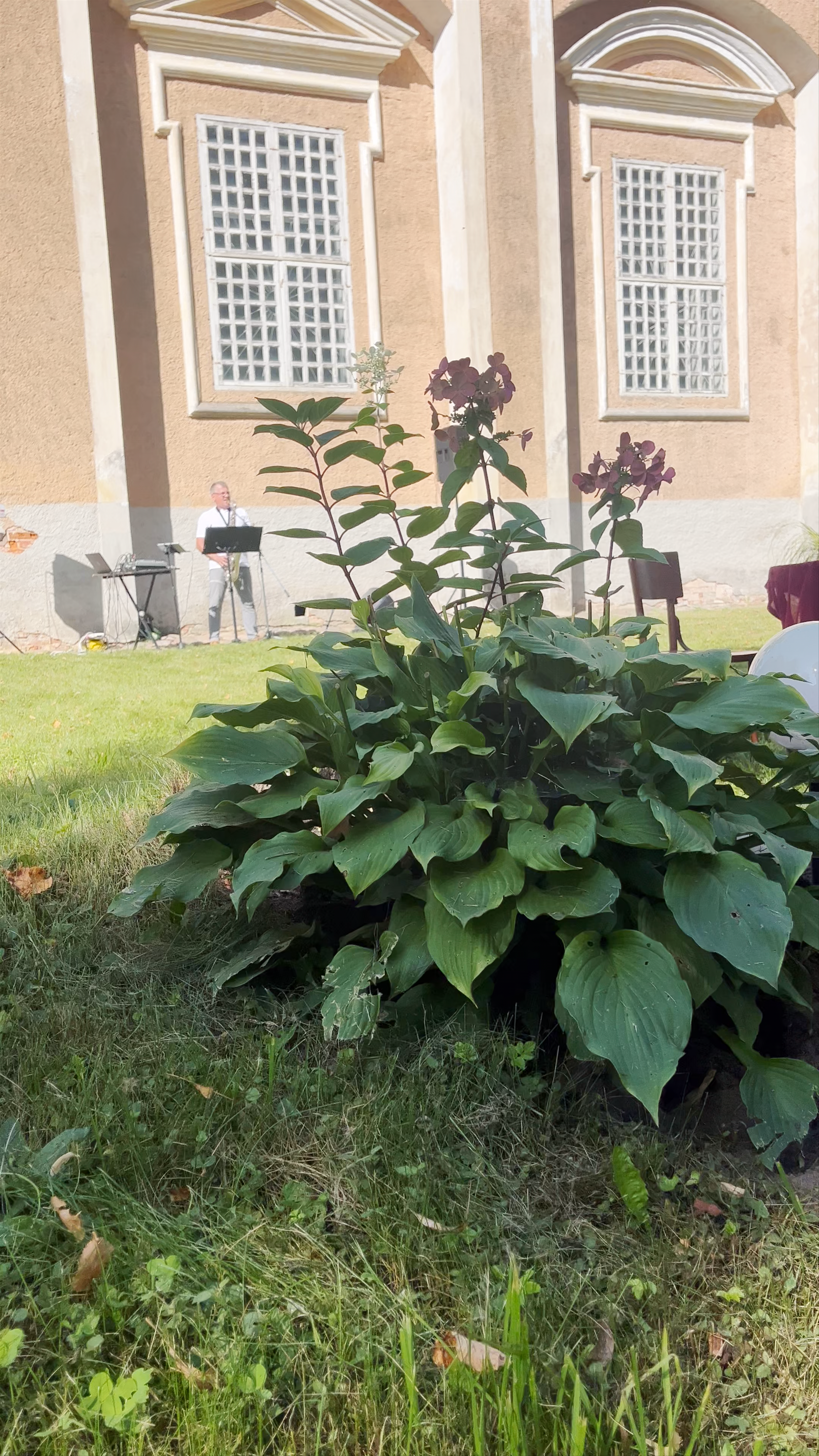 Subates Pestītāja luterāņu baznīca