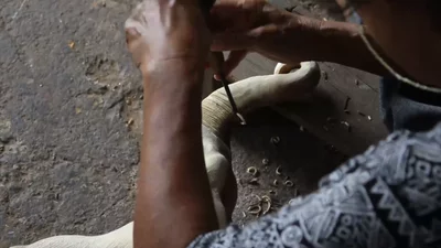 Preview image for video