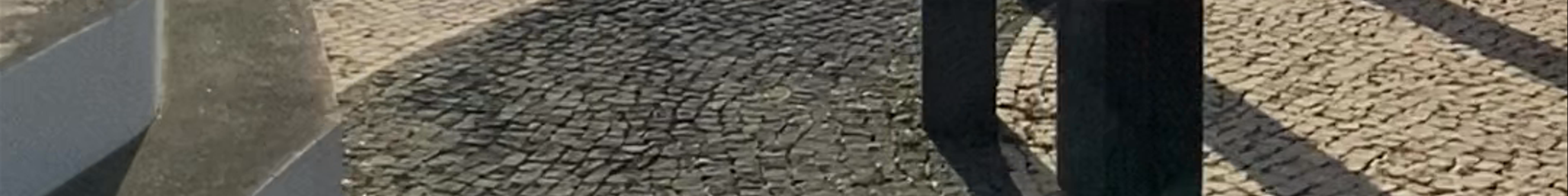 Tours & experiences in Ribeira Grande