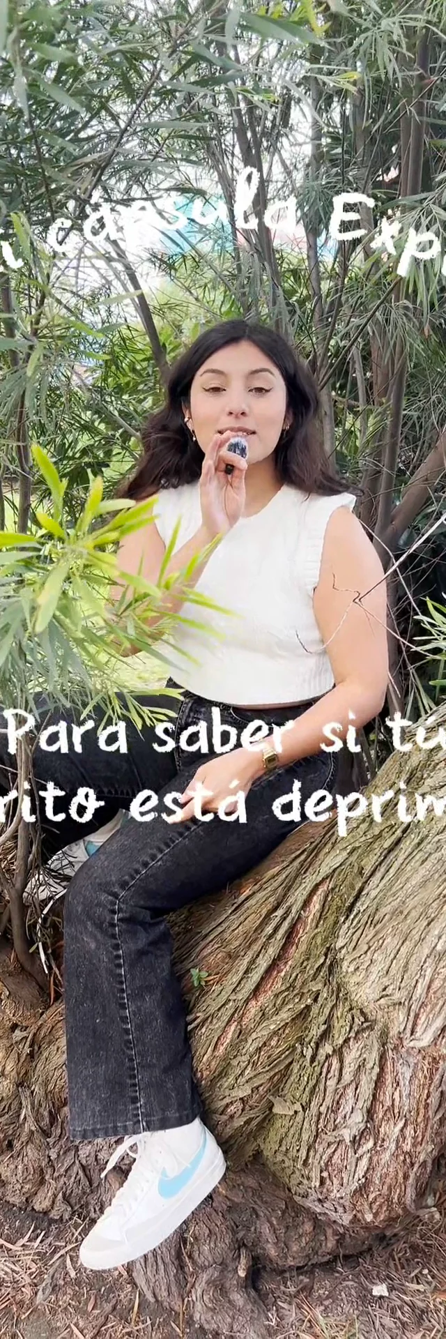 Video con perrito