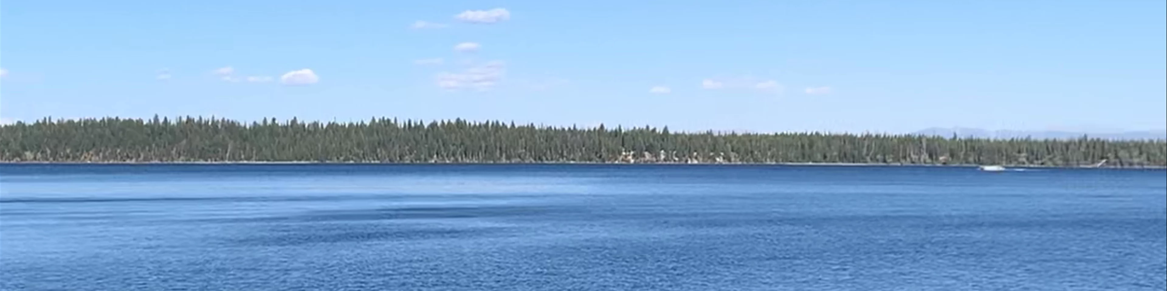 Jenny Lake