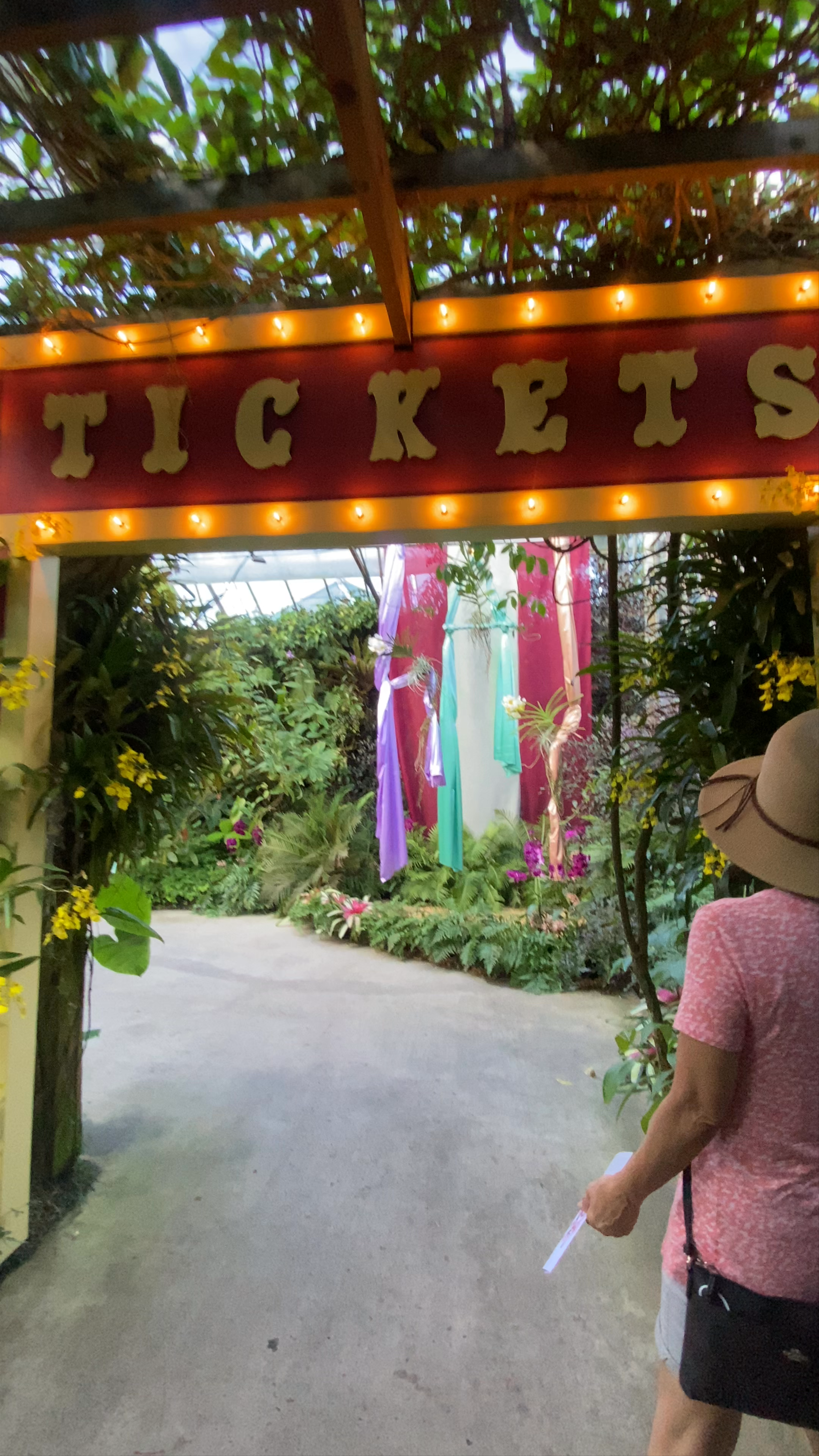 Marie Selby Botanical Gardens Tour: A Lush Urban Oasis in Sarasota