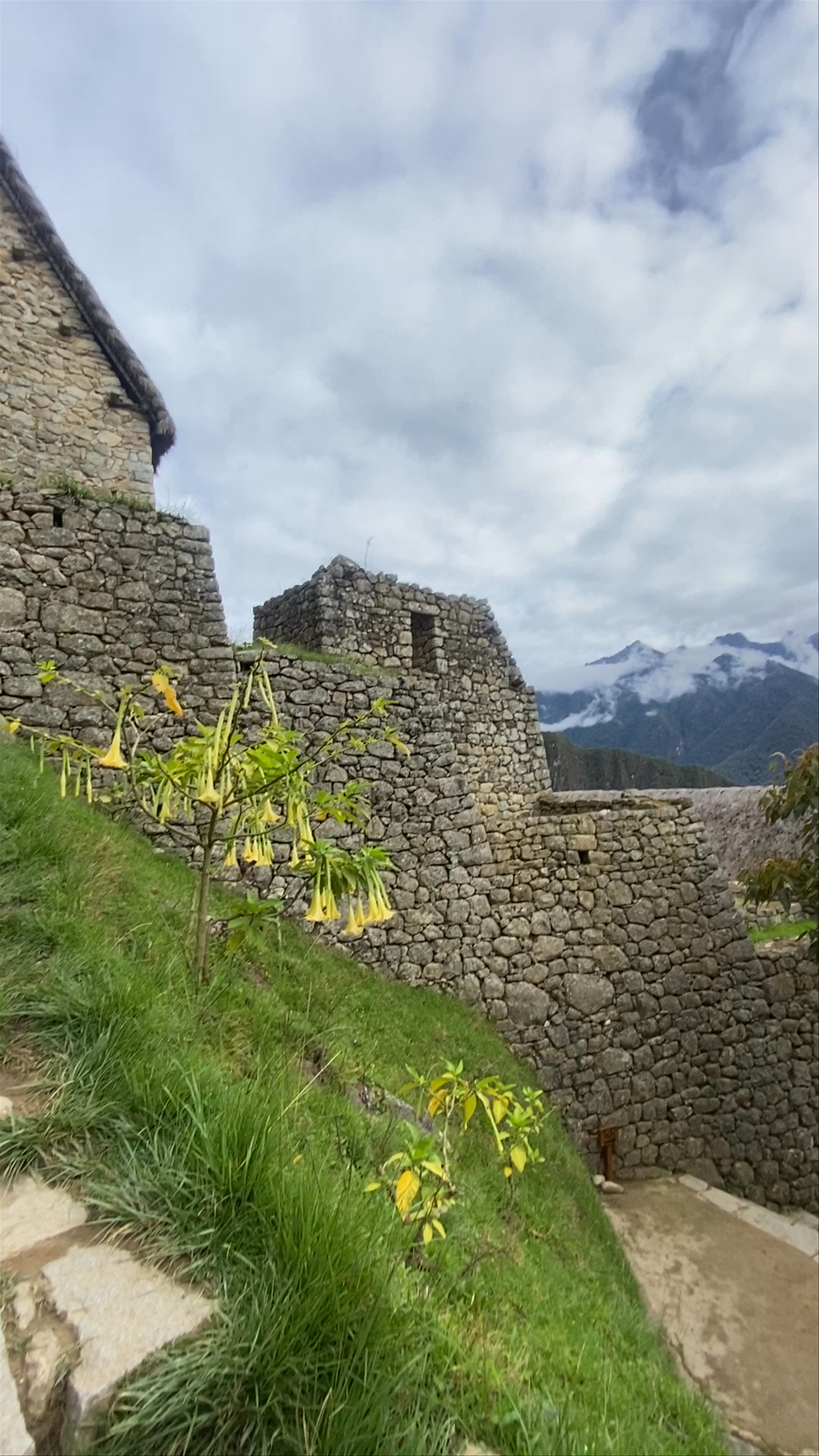 Machu Picchu: Exploring the Ancient Incan Citadel