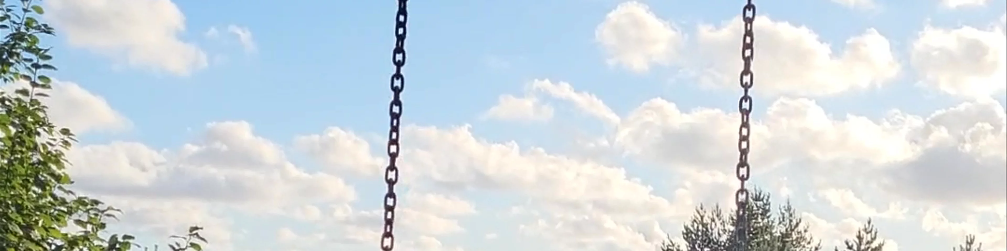 Supynės ant medžio