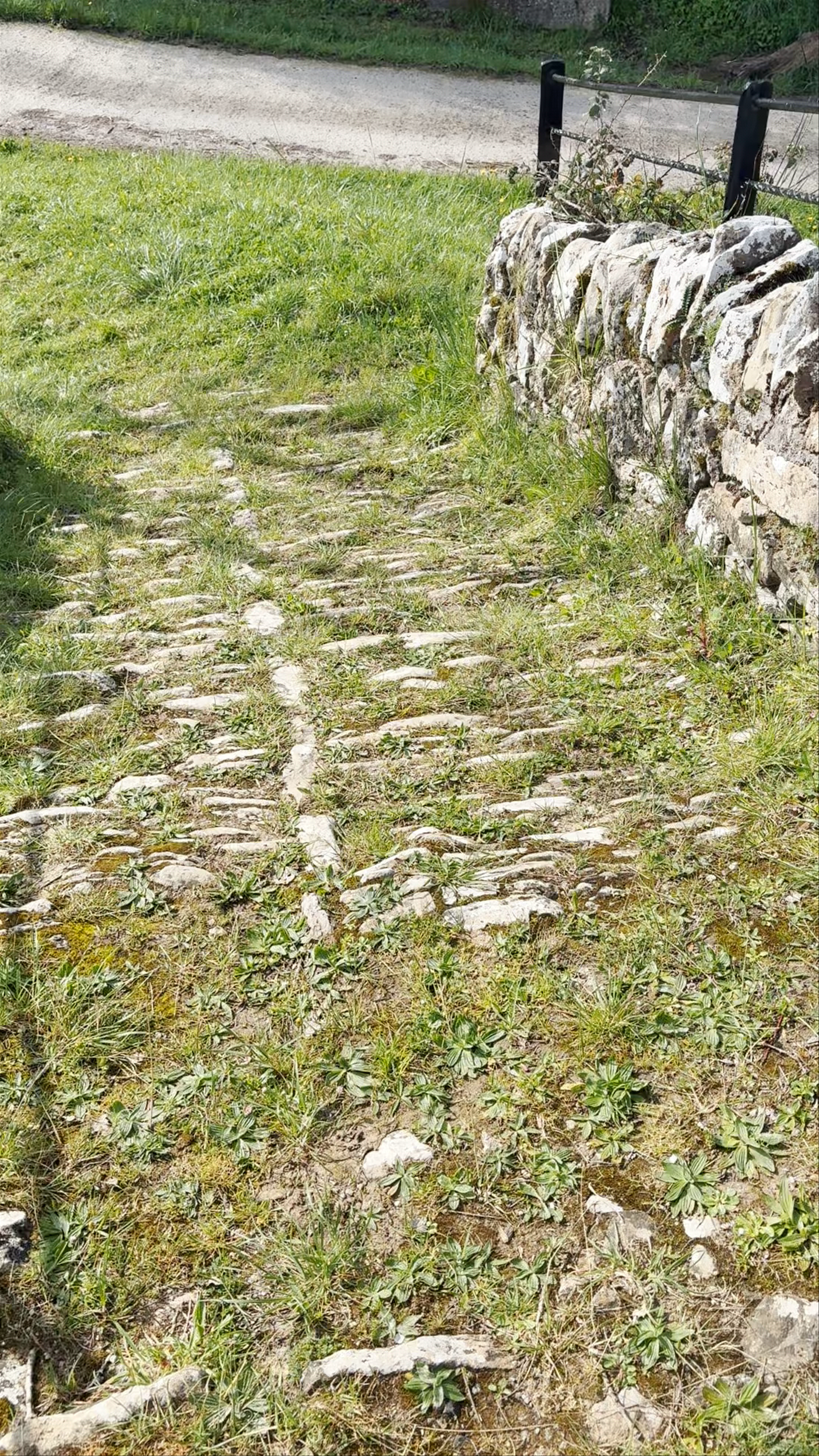 Serene Countryside Walk Along Lastrako Zubia in Artziniega, Spain