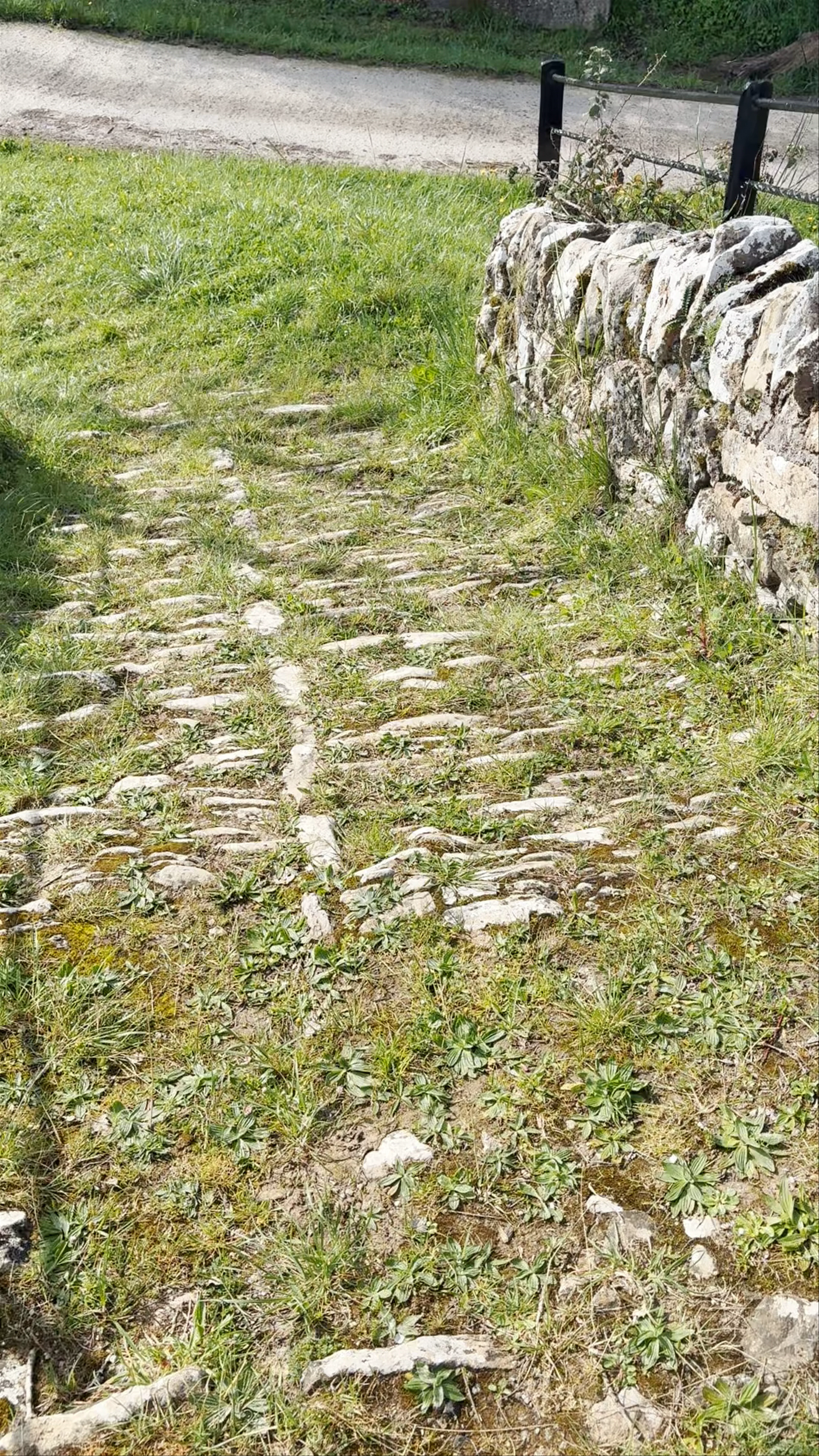 Lastrako Zubia, Artziniega