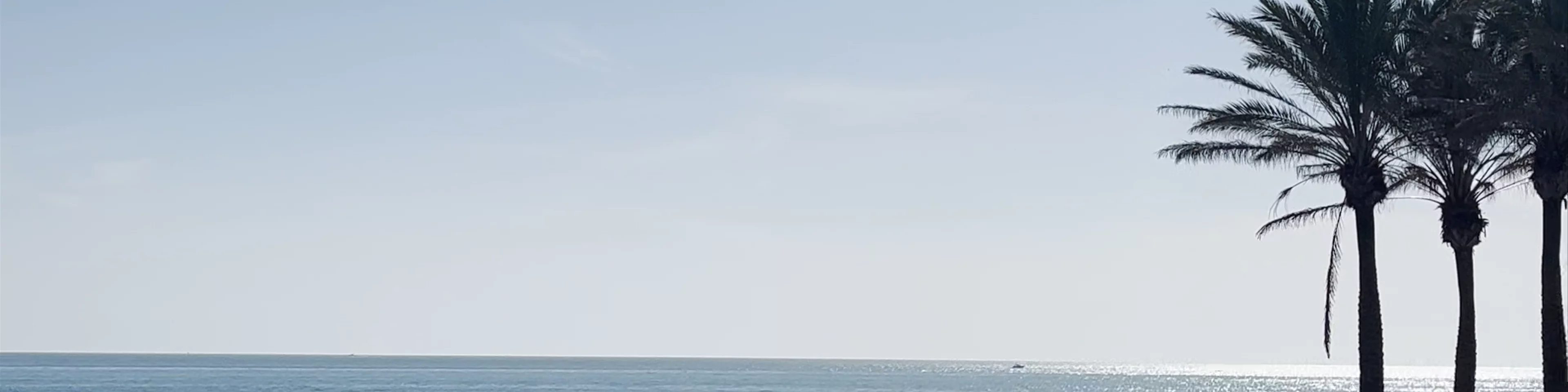 Playa de Santa Ana