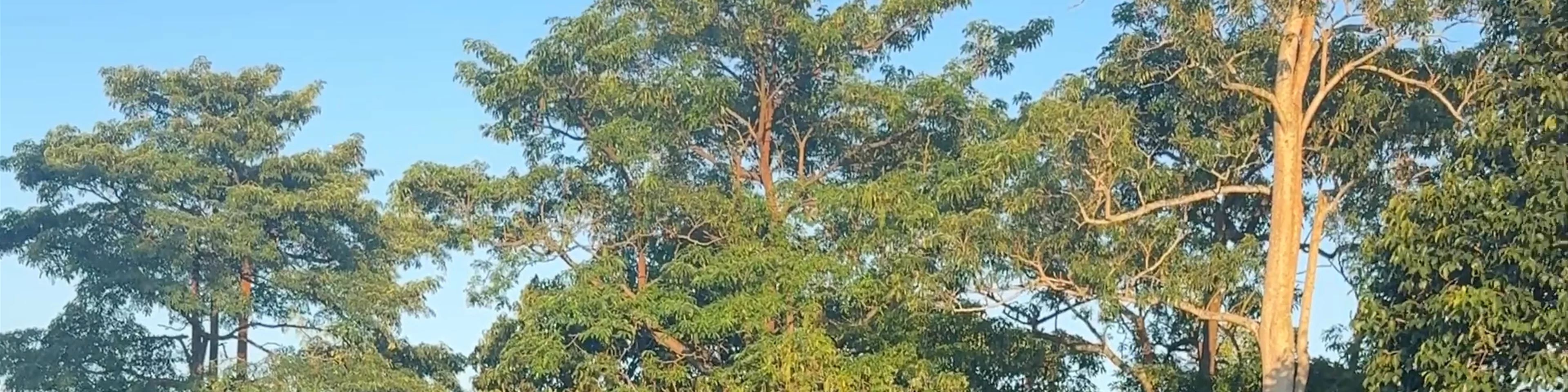 Laguna Golf Bintan