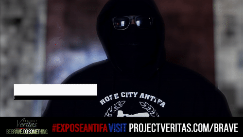 Video Thumbnail Loop