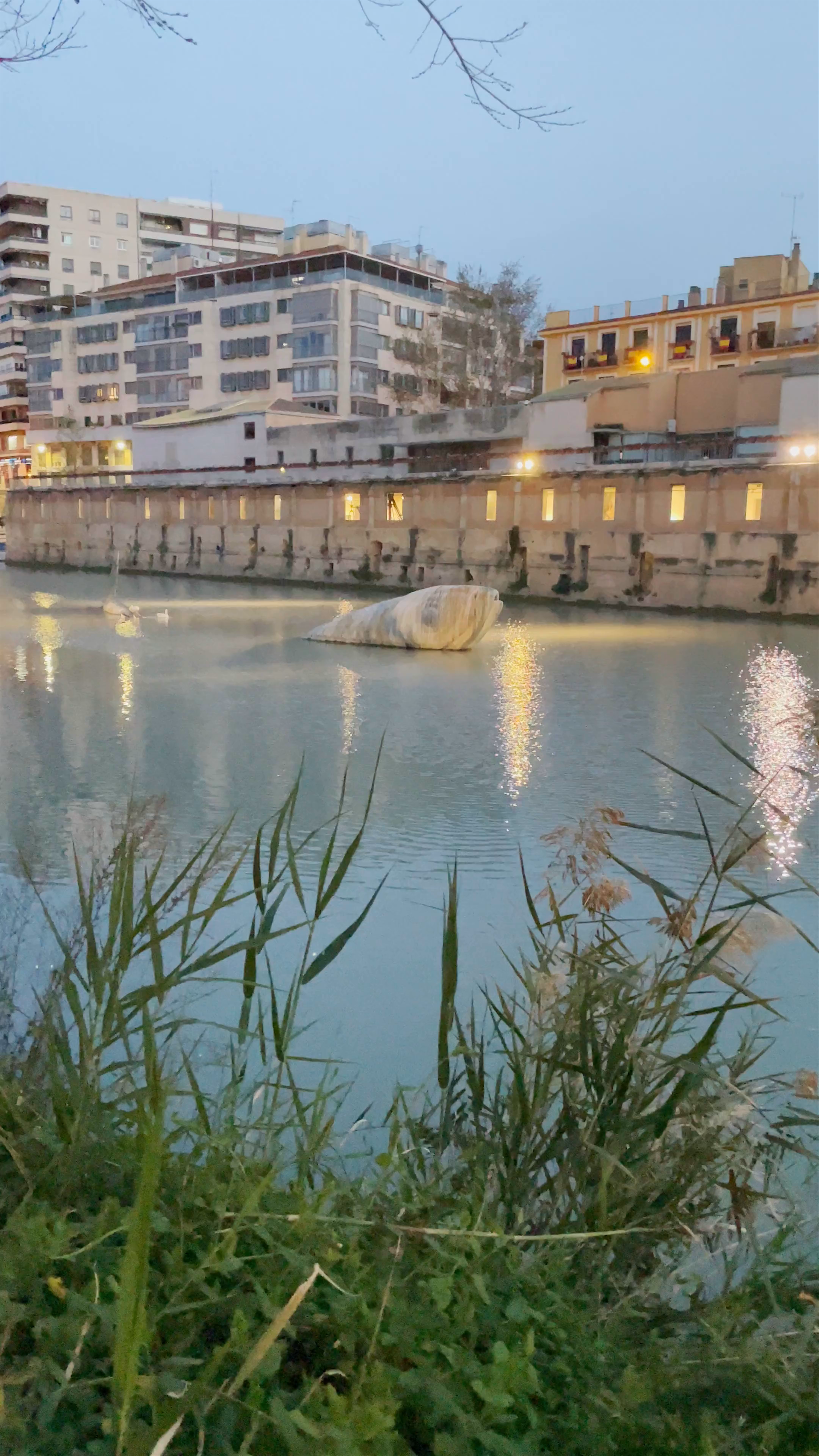Río Segura Murcia