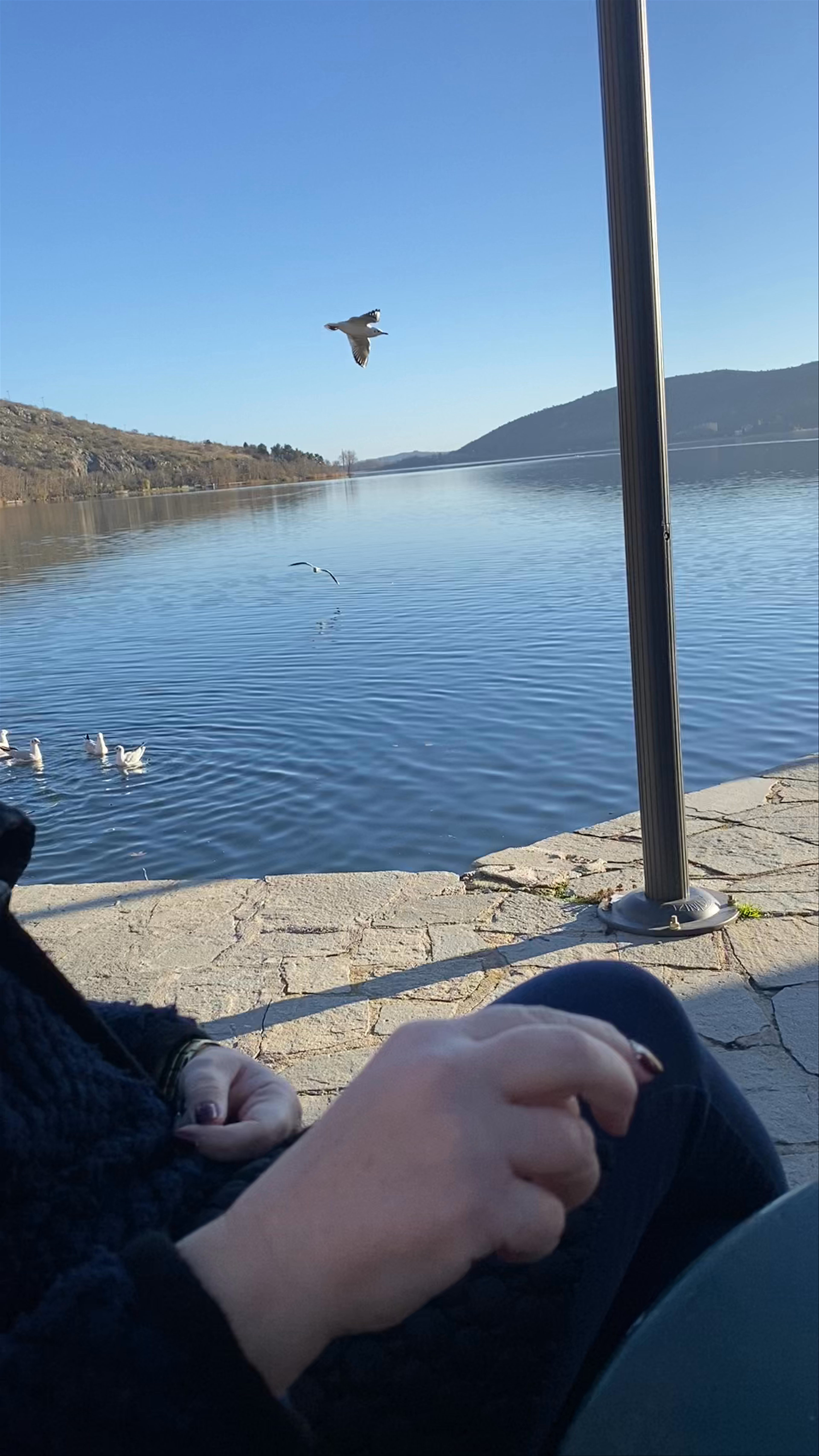 Αναψυκτήριο "Το Ντολτσό"