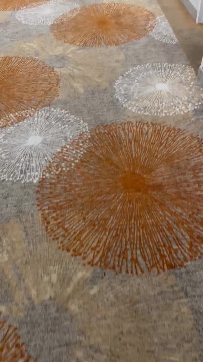 Hilton Garden Inn Tyler - Nasty ass gagging carpet on the 3rd floor has... - Hotels Near Me - Tyler, Texas
