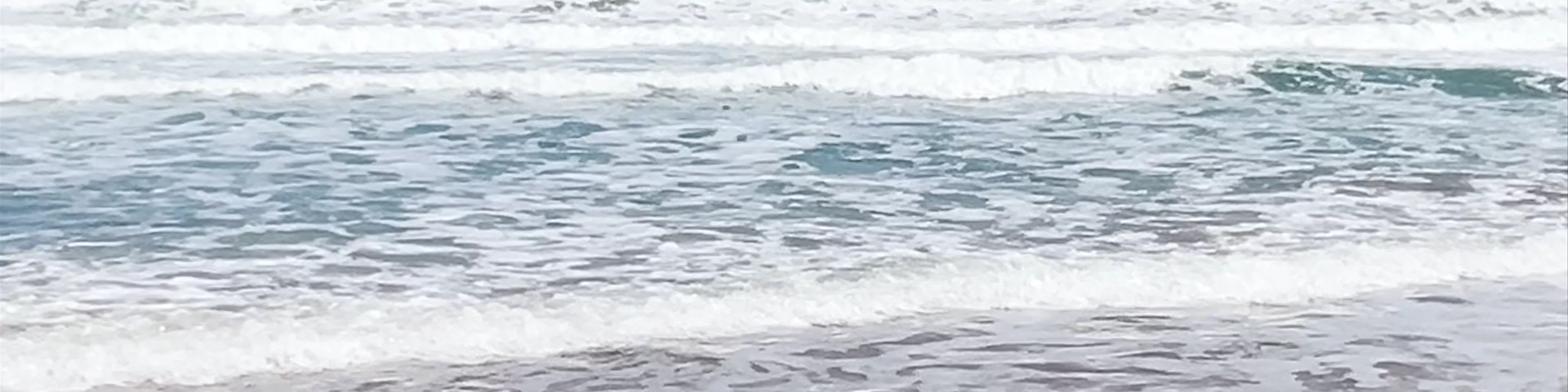 Playa Centre