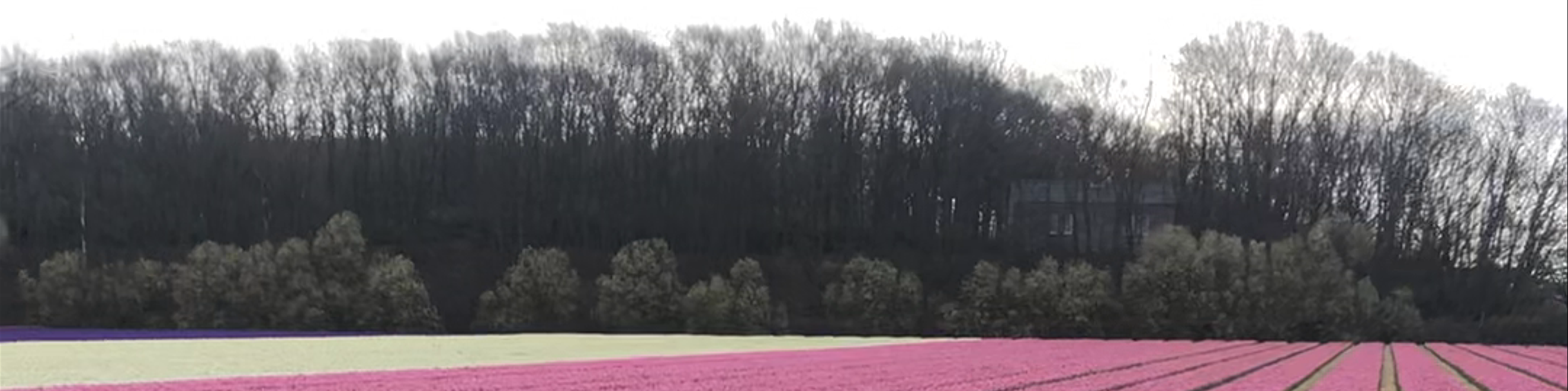 Netherlands