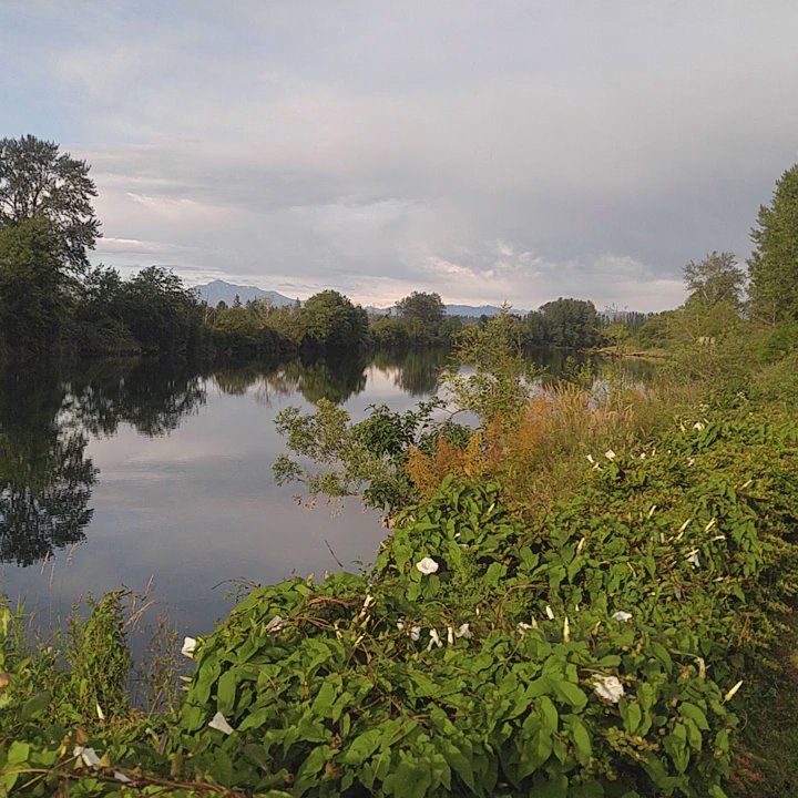 Lowell Riverfront Park - Parks Near Me - Everett, Washington