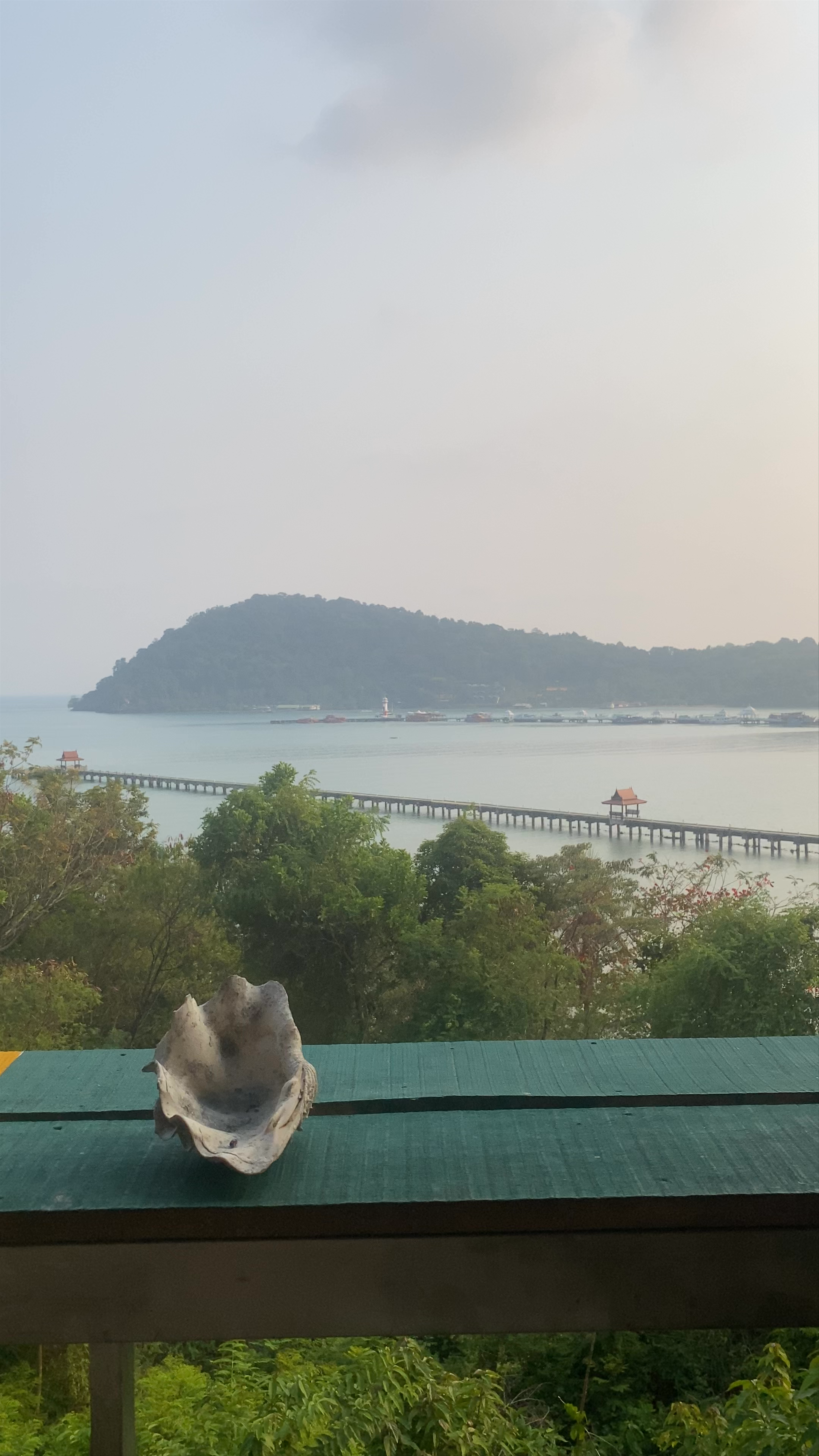 Rasta View