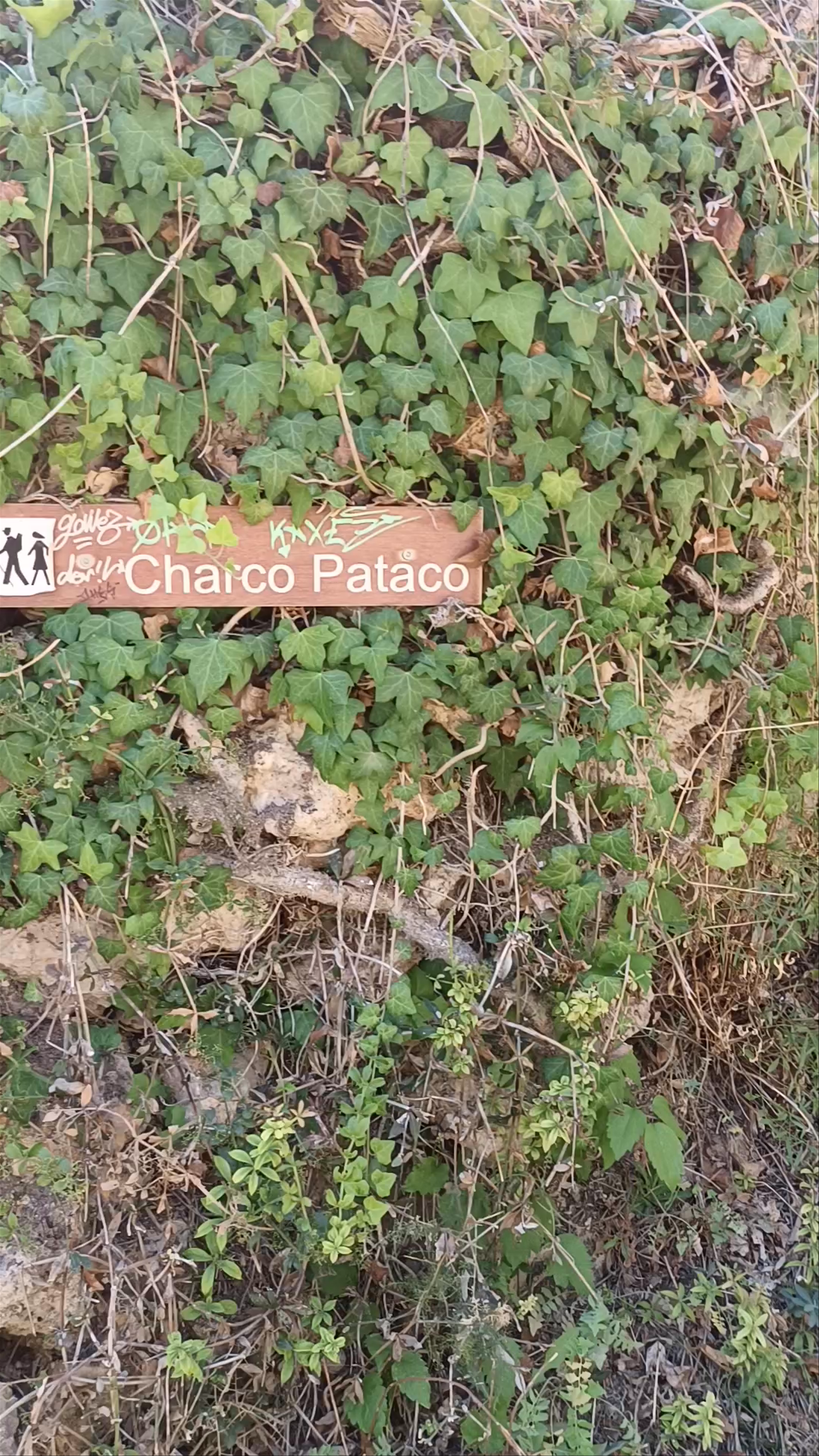 Charco Pataco: A Hidden Nature Escape in Letur, Spain