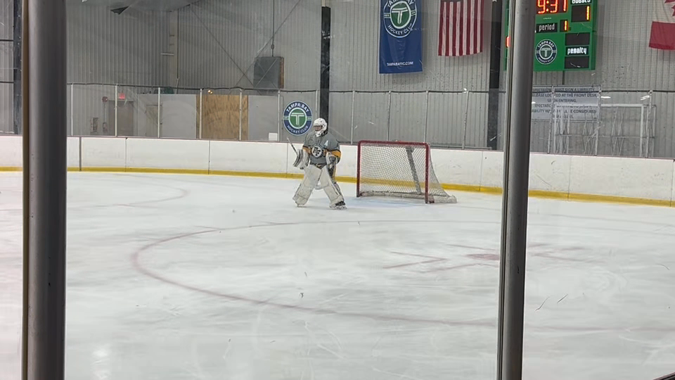 Adriano Carvalho's Incredible Saves: Highlight Reel that ends with an opposing goal.