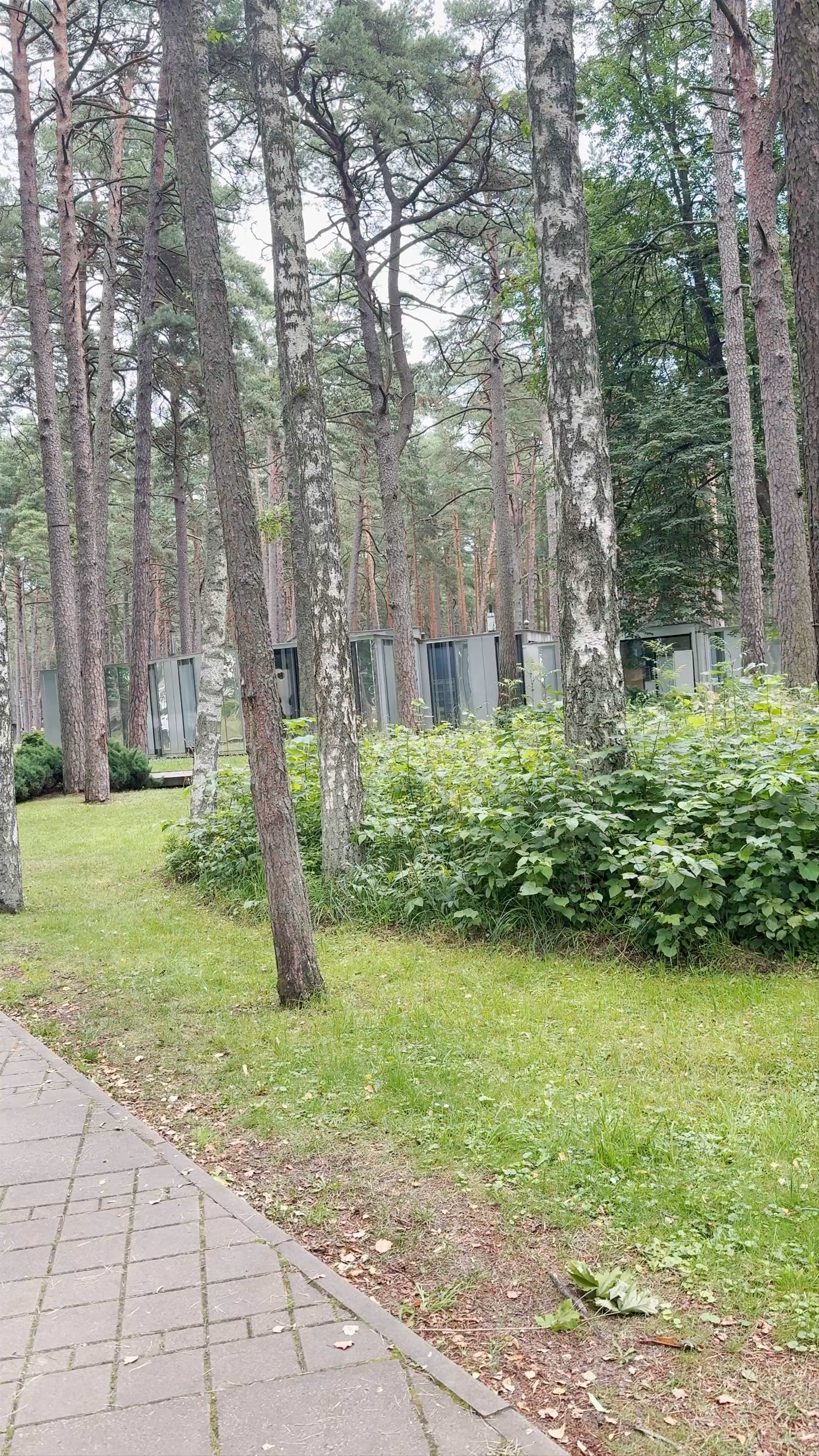 Парк Дзинтари