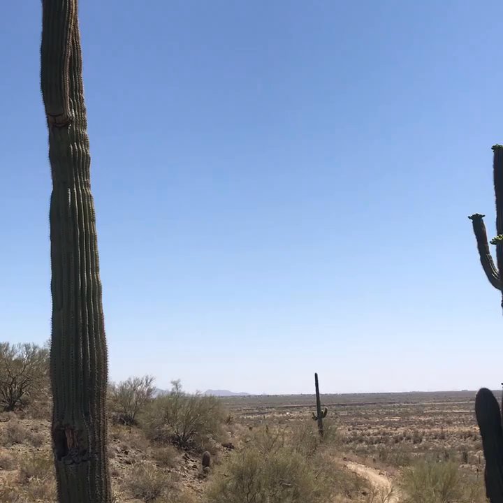 Apache Wash Trailhead - 4.27.18 no so hot after all in the high new hour 88 degrees - Hiking Near Me - Phoenix, Arizona
