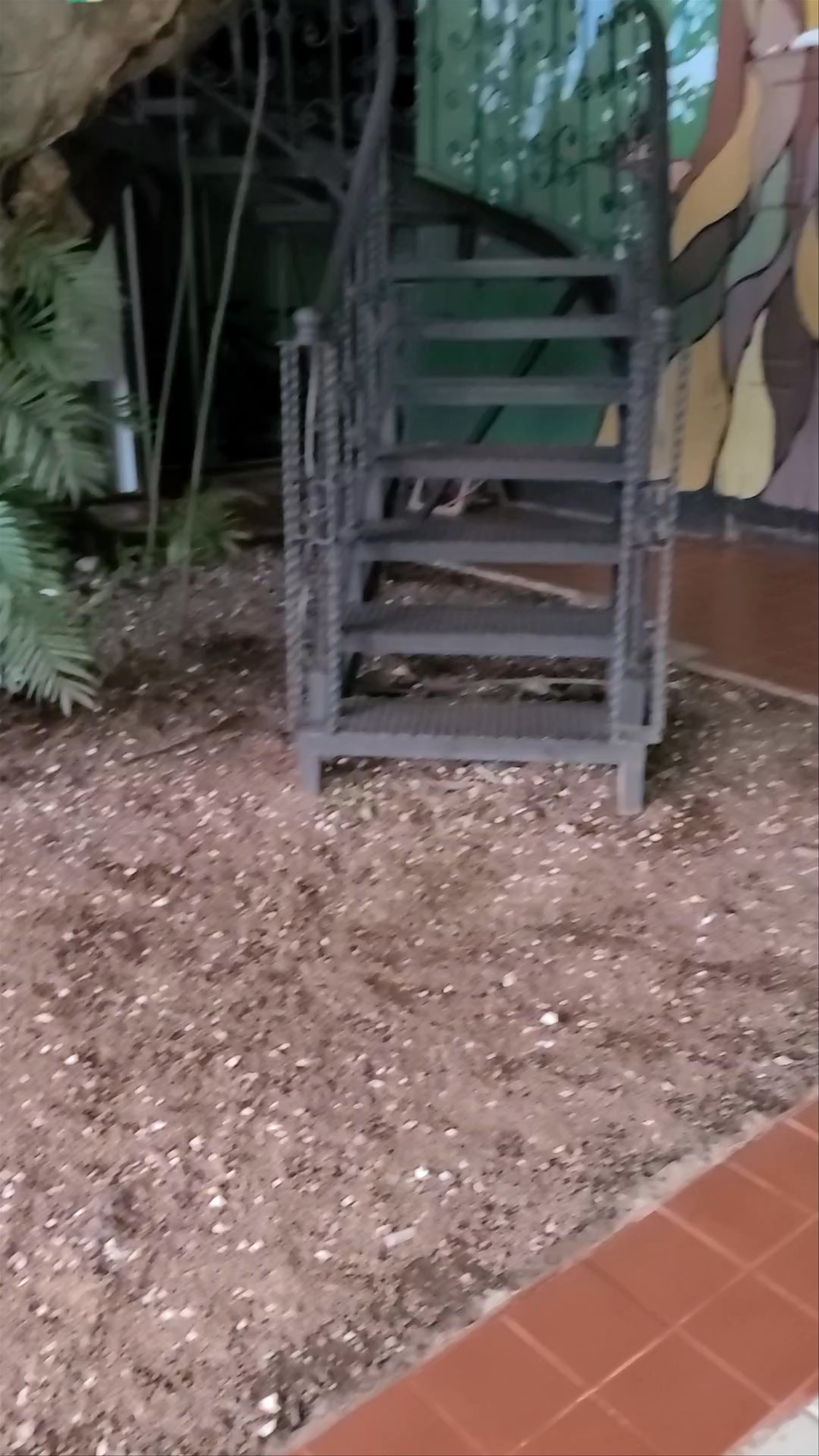 Tree House Restaurante