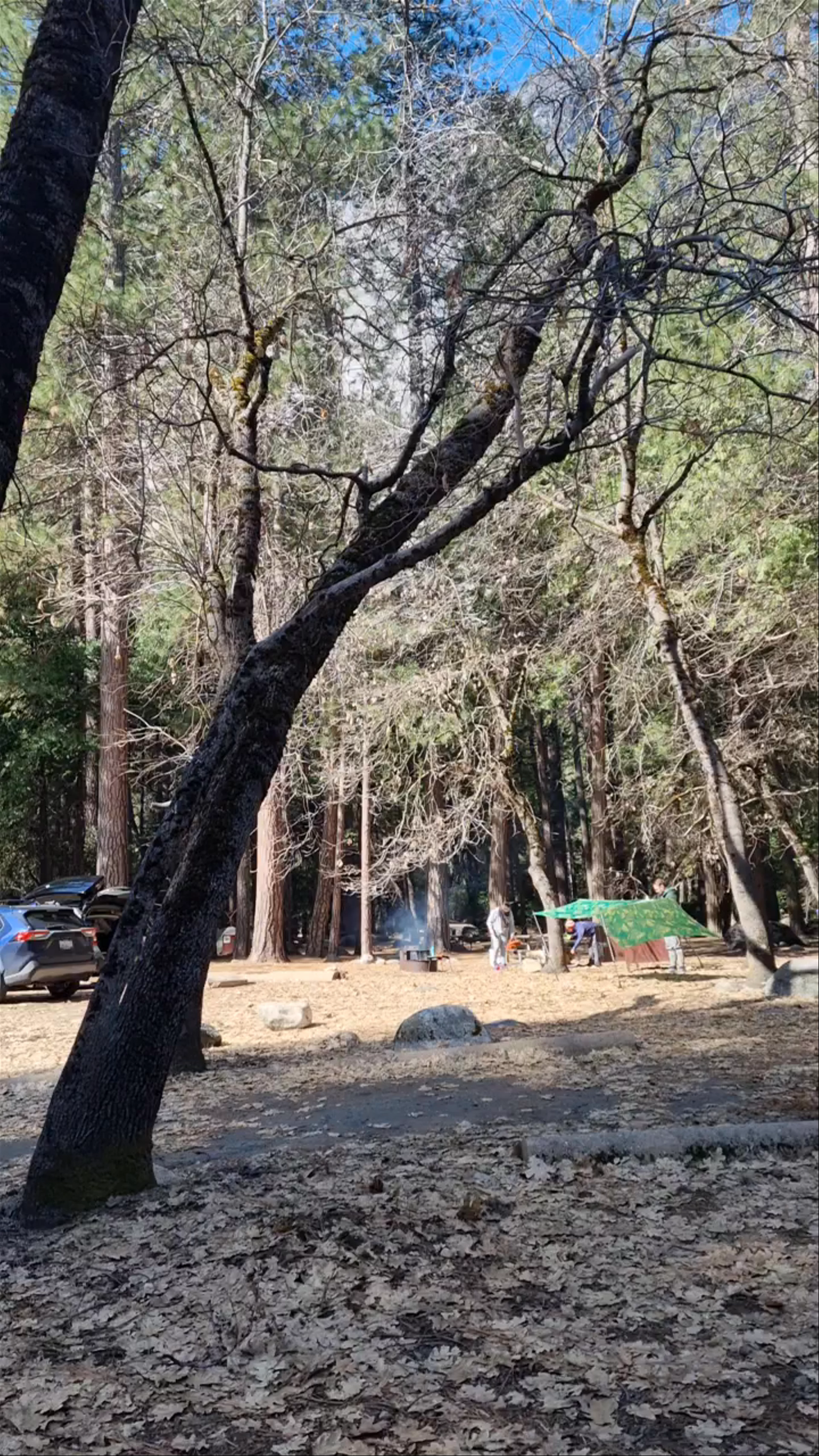 Upper Pines Campground
