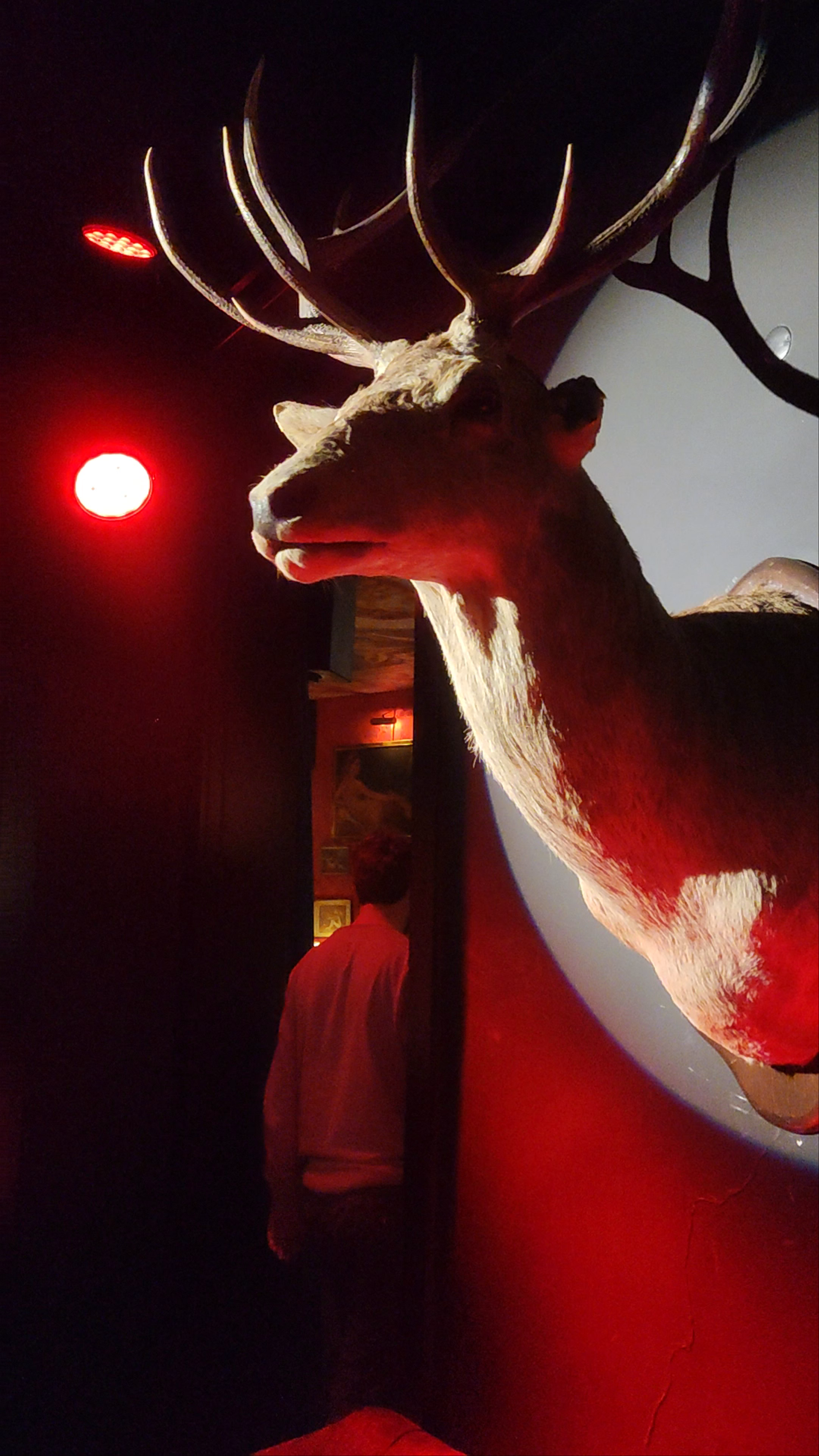 Pensão Amor: Lisbon's Eclectic Nightlife Gem