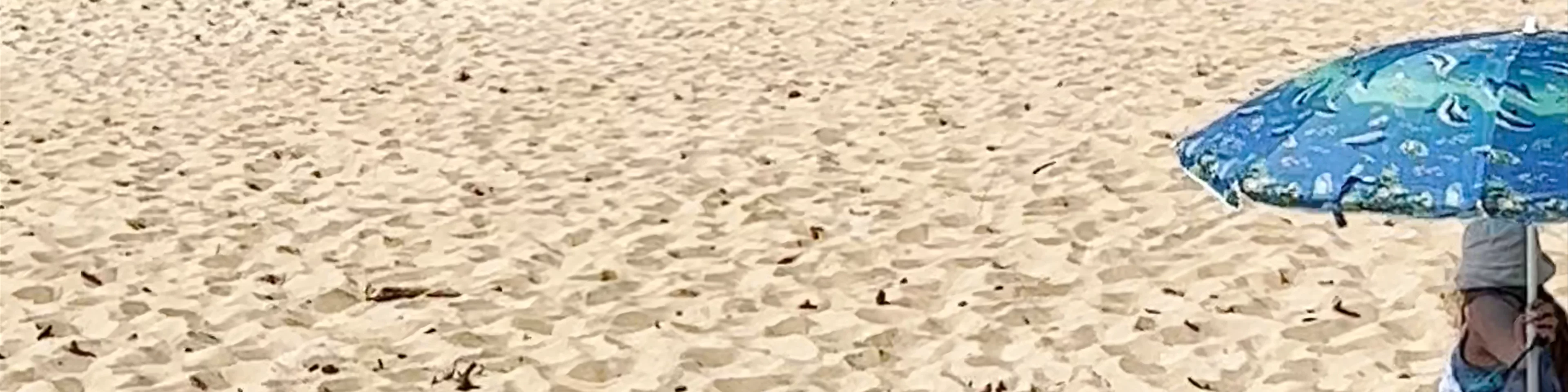 Banzai Beach