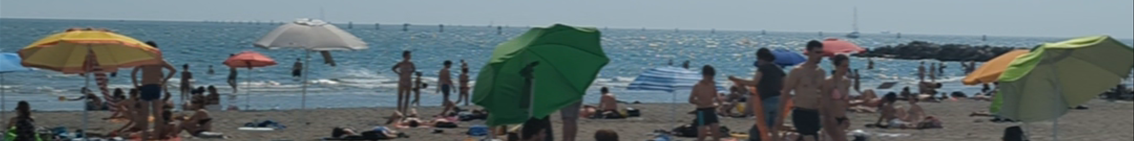 Tours & experiences in Grado