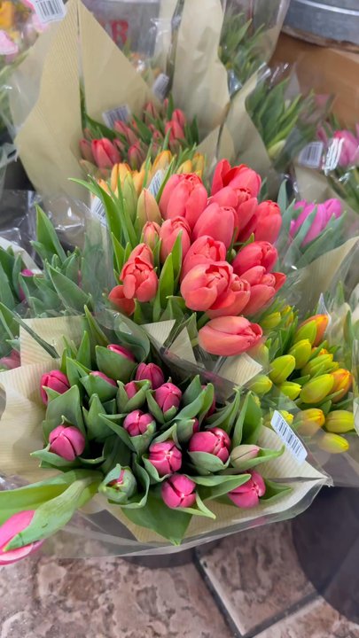 Trader Joe's - Tulips are in season. - Grocery Near Me - Irvine, California