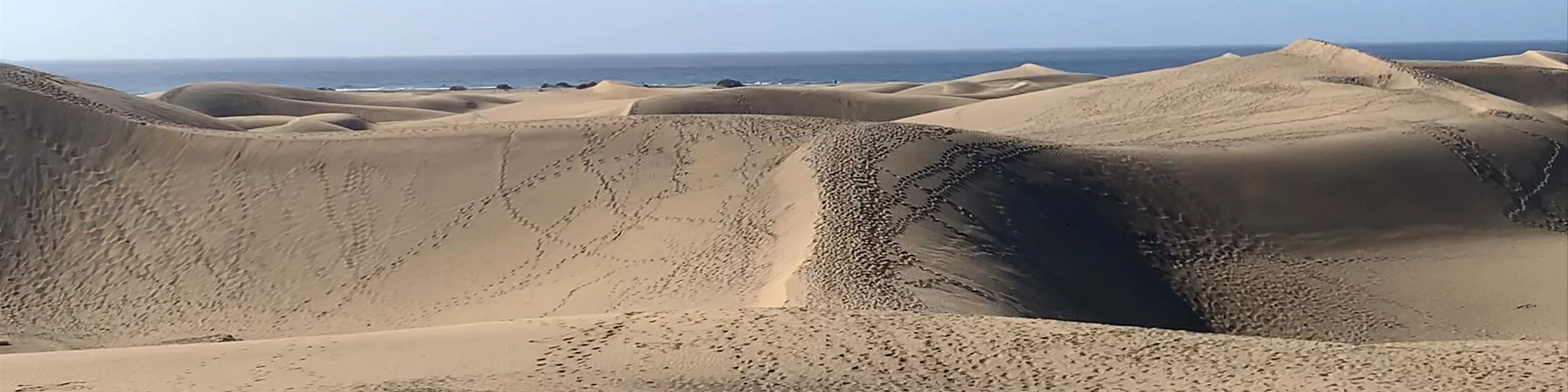 Dunas de Maspalomas
