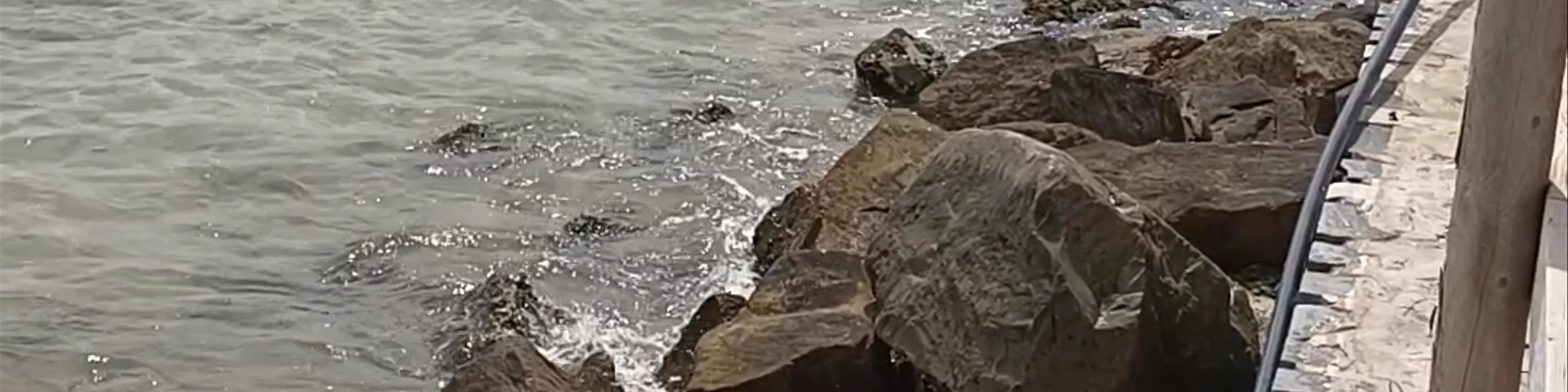 Playa del Mojón