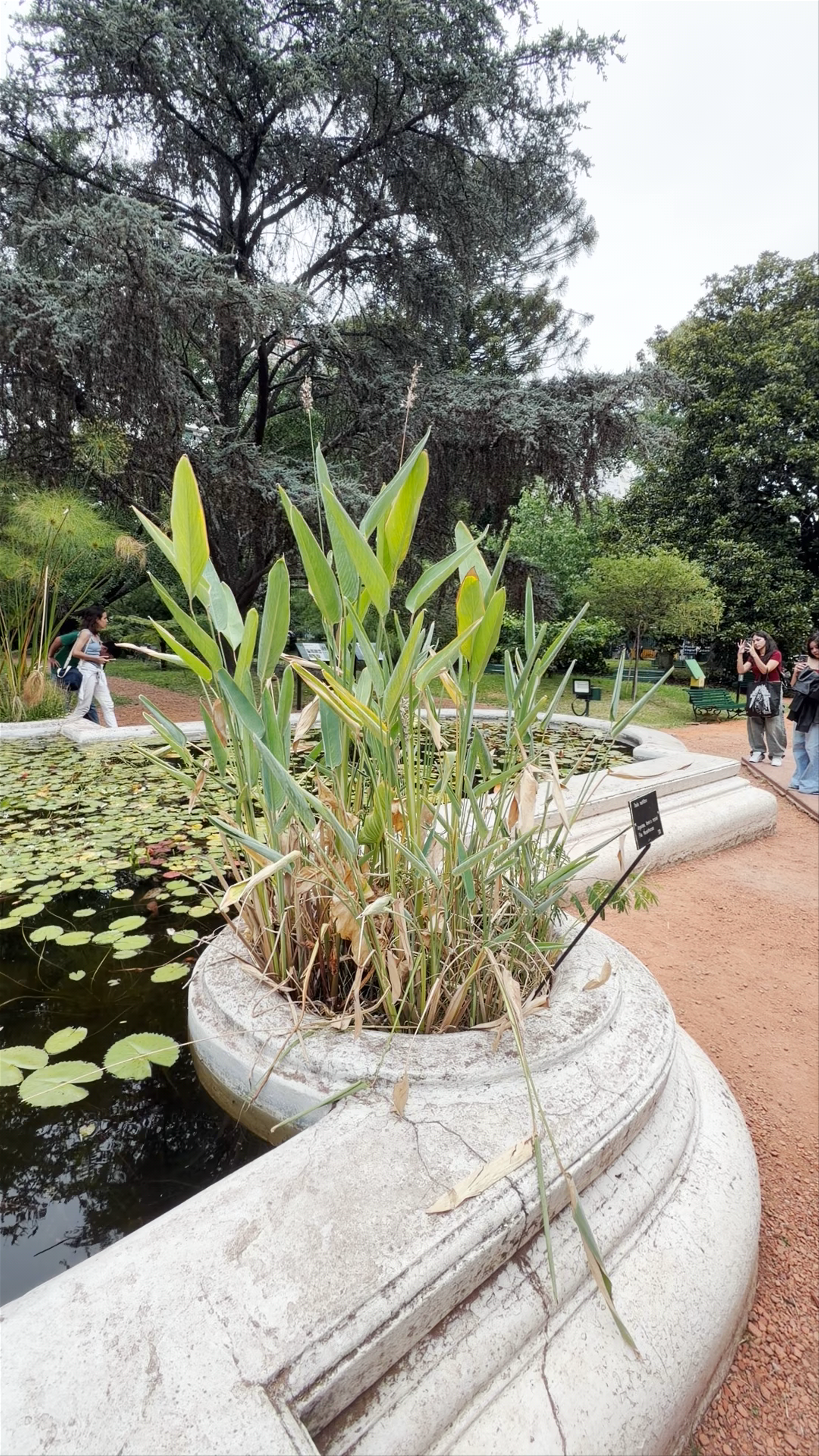 Jardín Botánico: A Tranquil Urban Oasis in Buenos Aires