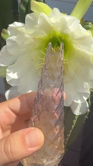 Preview pic of PuffCo Indiglow Broken Glass - No Reserve