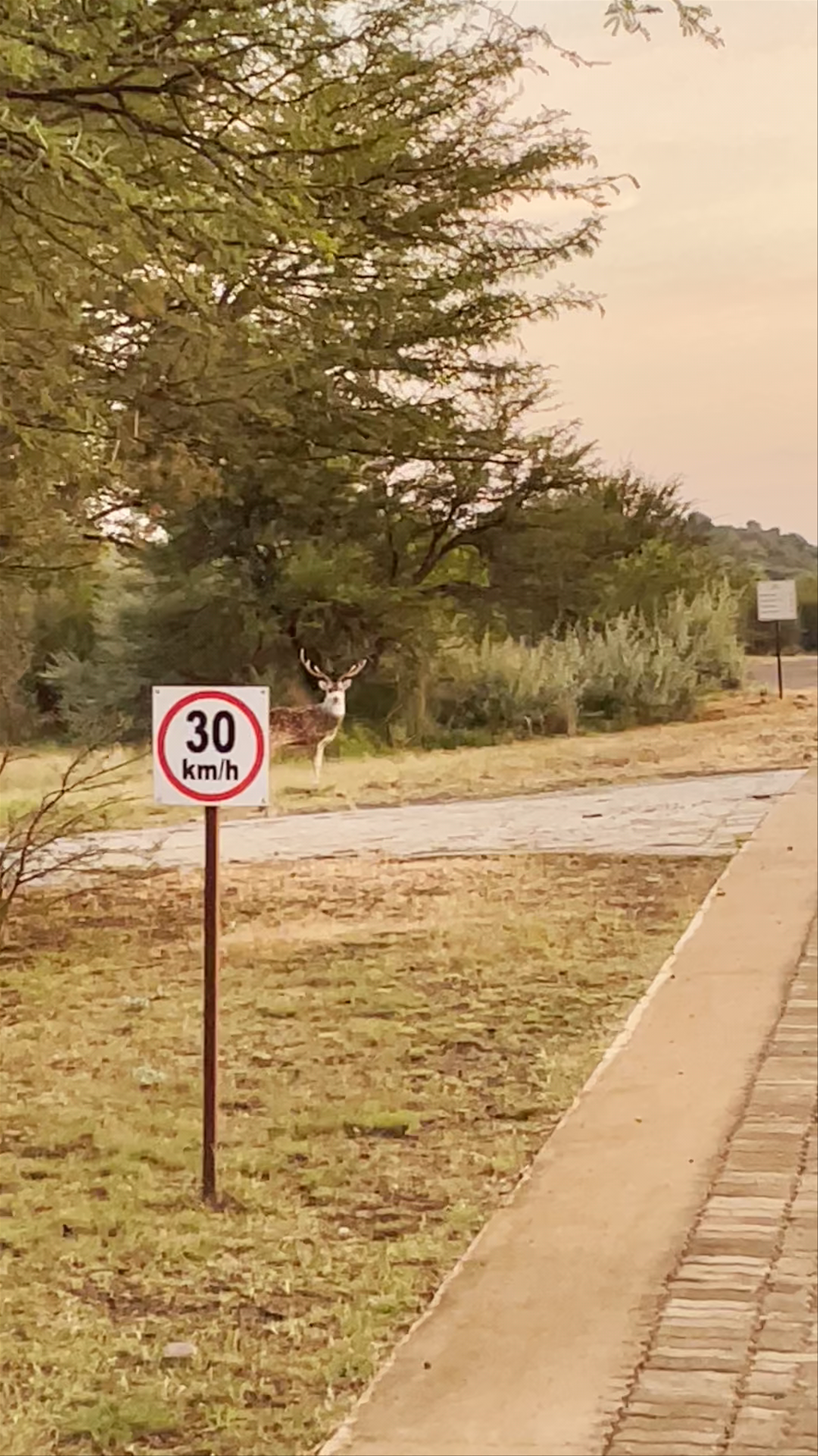 Amanzi Private Game Reserve