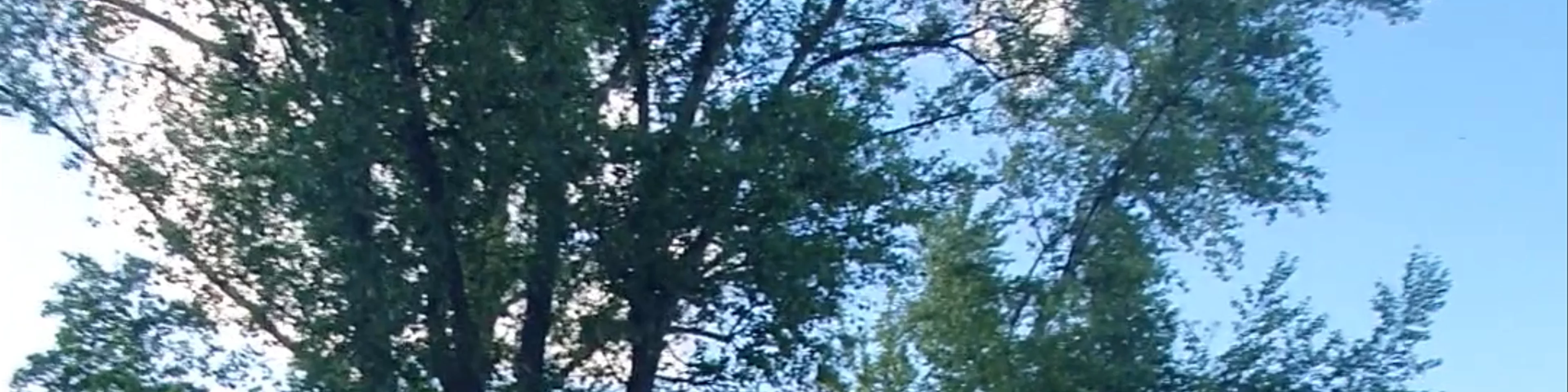 Plaża Żoliborz