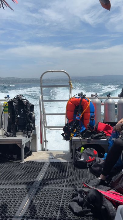 Riviera Charters - Nothing better than getting to your dive site fast! - Boat Charters Near Me - Dana Point, California