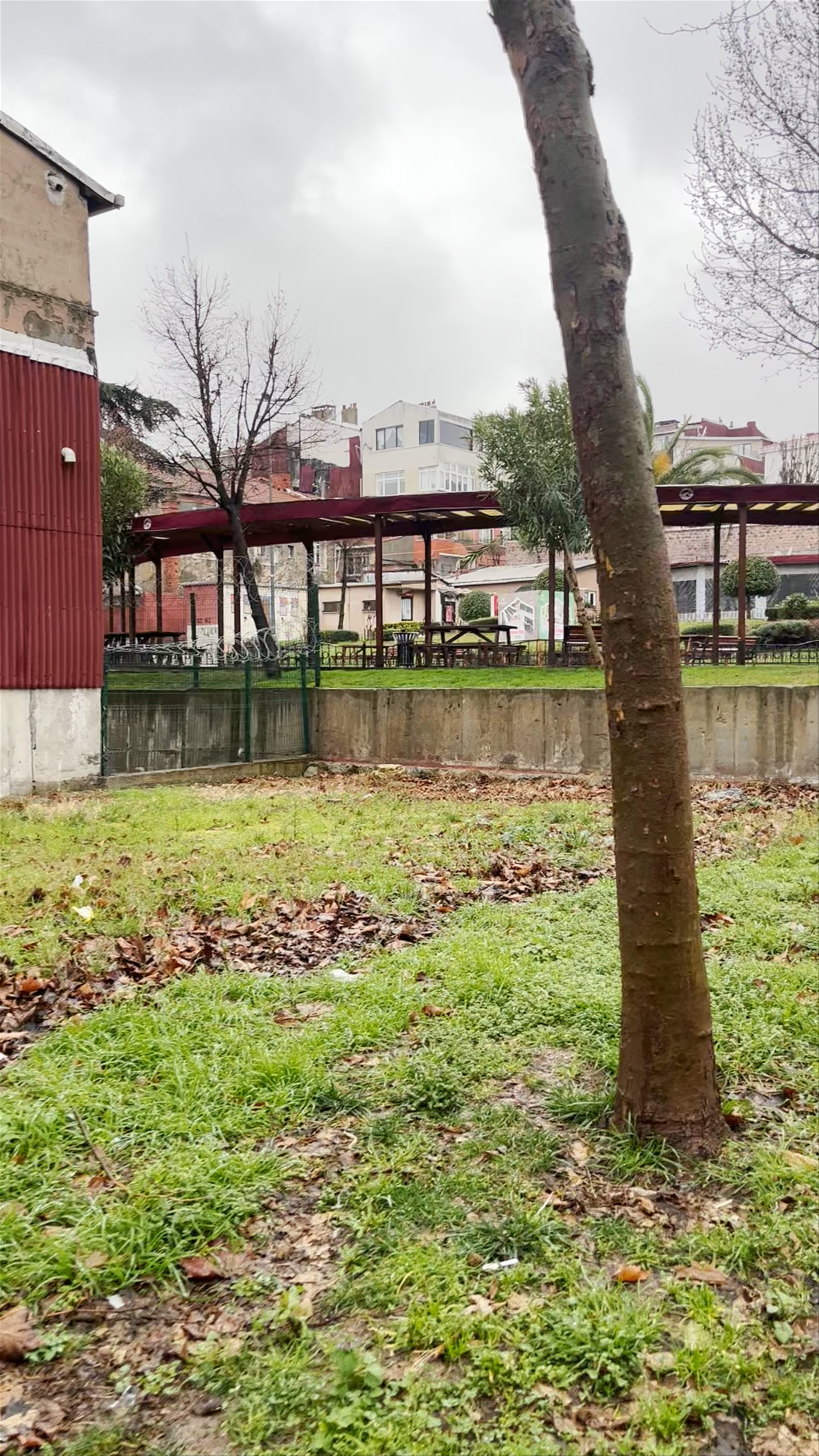 Peaceful Oasis at Kariye Şehir Parkı in Derviş Ali, Istanbul