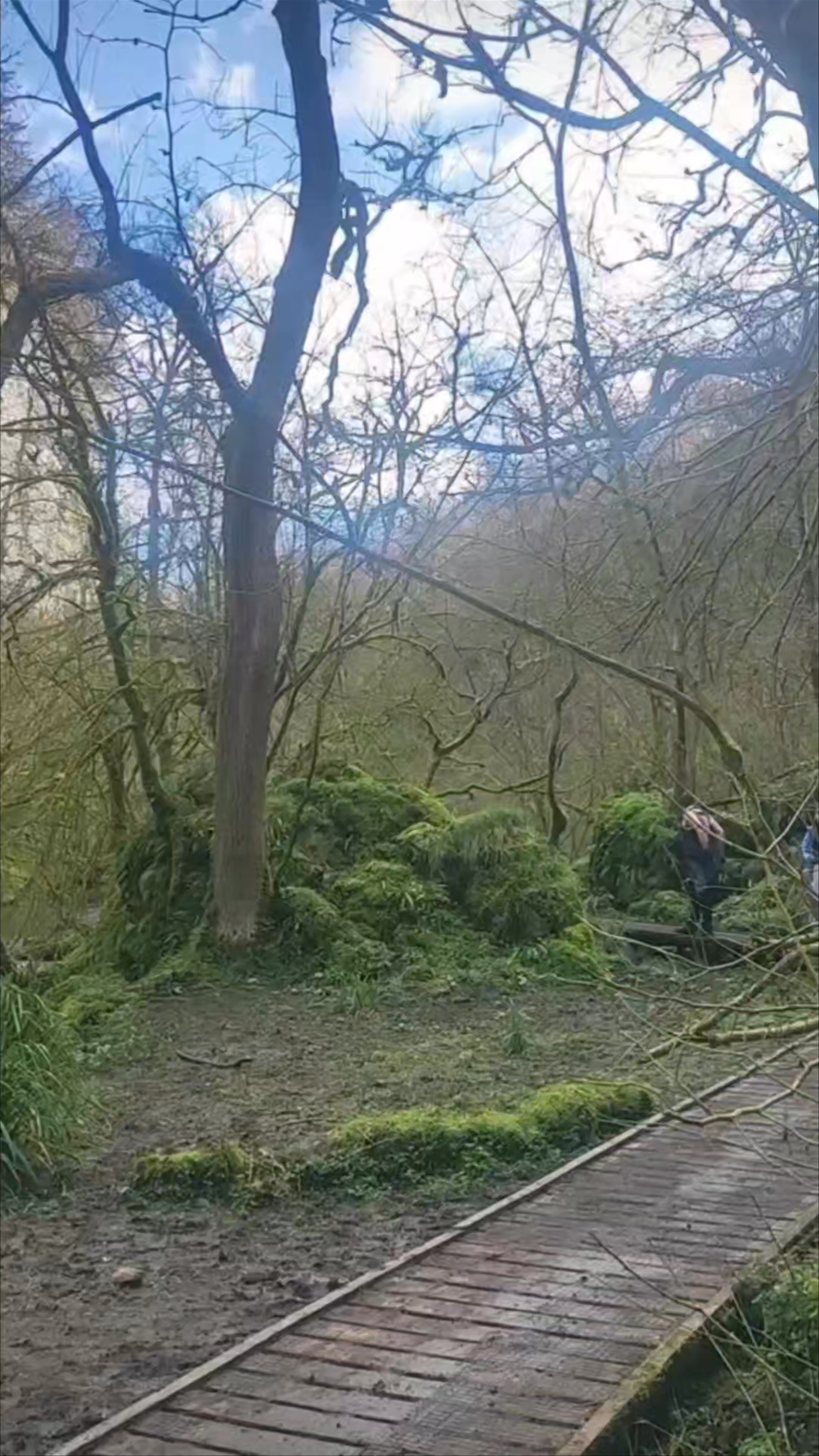 Chee Dale Stepping Stones