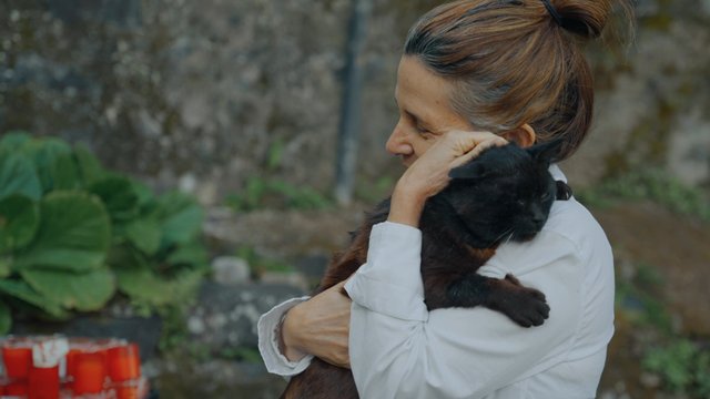 Una mujer sostiene un gato en sus manos