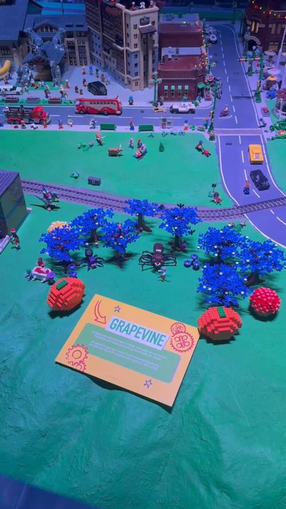 LEGOLAND Discovery Center - Lego city - Kids Activities Near Me - Grapevine, Texas