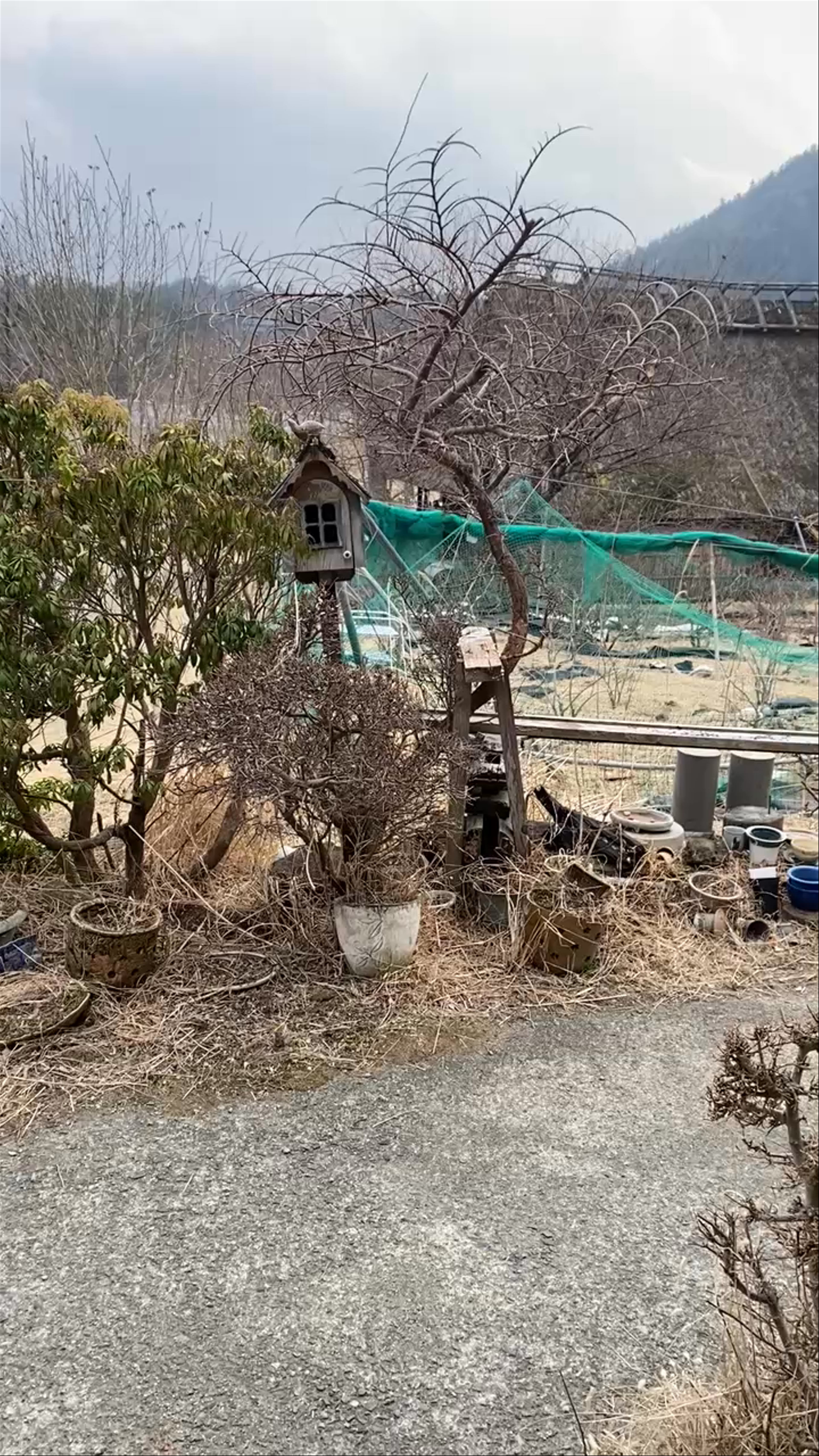 Saiko Iyashi-no-Sato Nenba: Experience Traditional Japan in Fujikawaguchiko