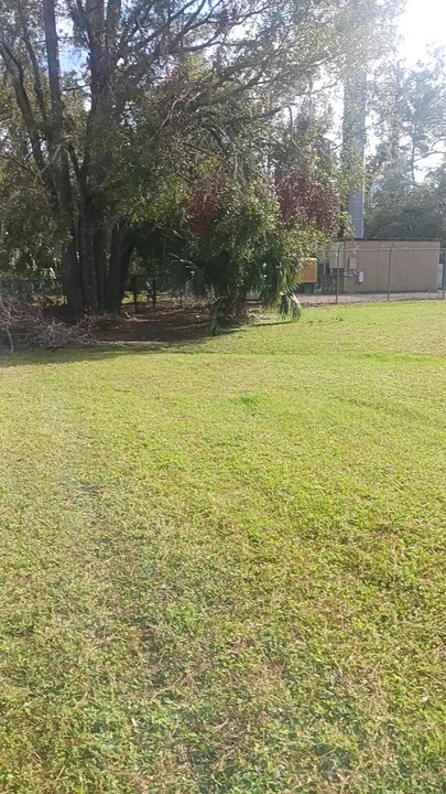 Angel's Dog Park - Dog Parks Near Me - Perry, Florida